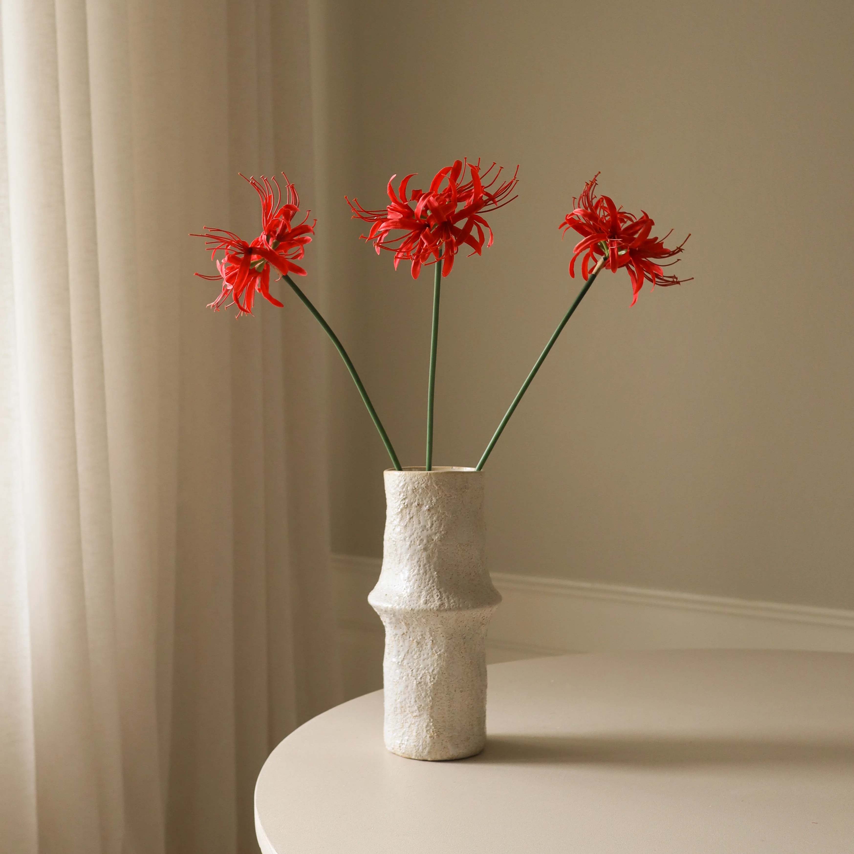Red Higanbana "Spider Lilies" Amaryllis Flower - Image 3