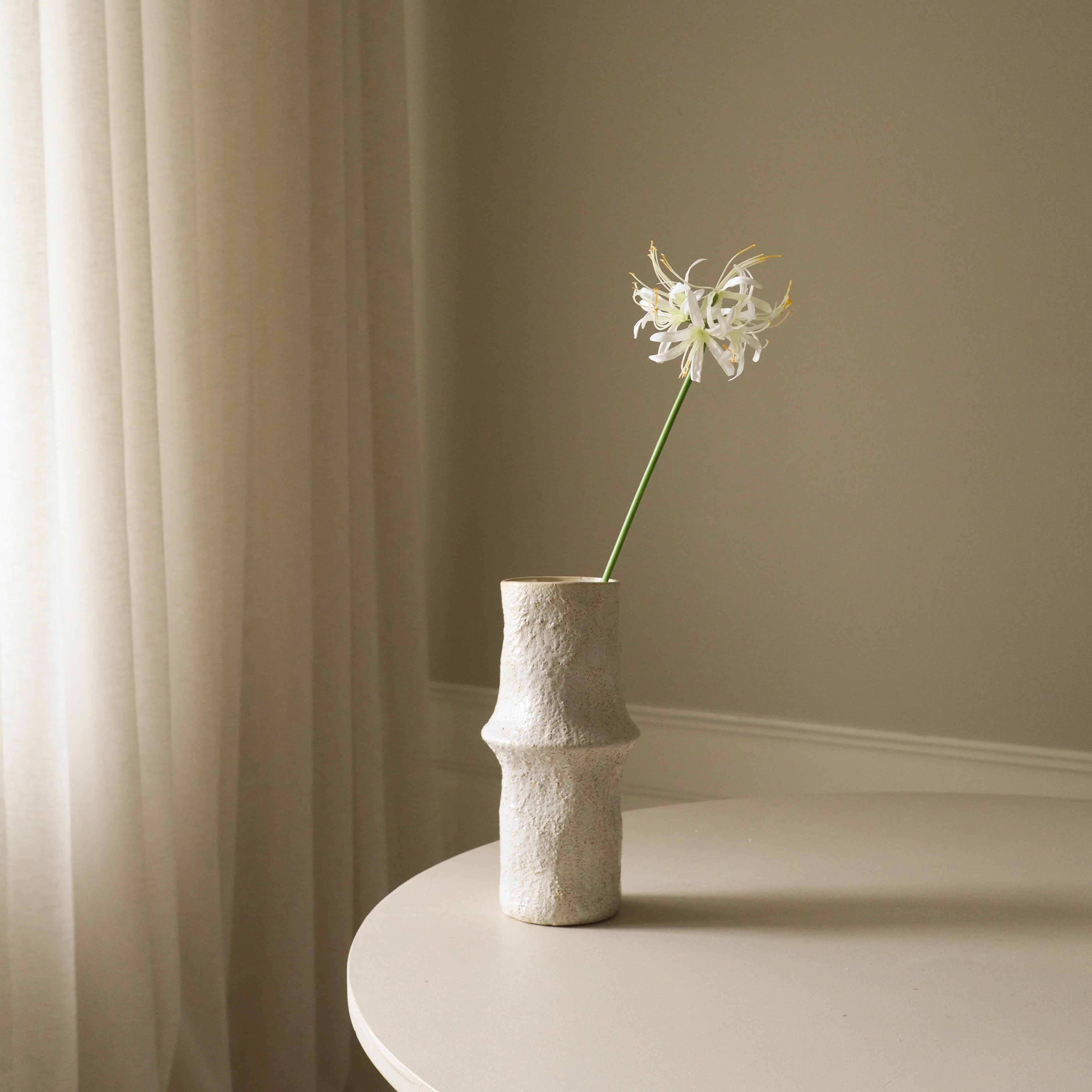 White Higanbana "Spider Lilies" Amaryllis Flower