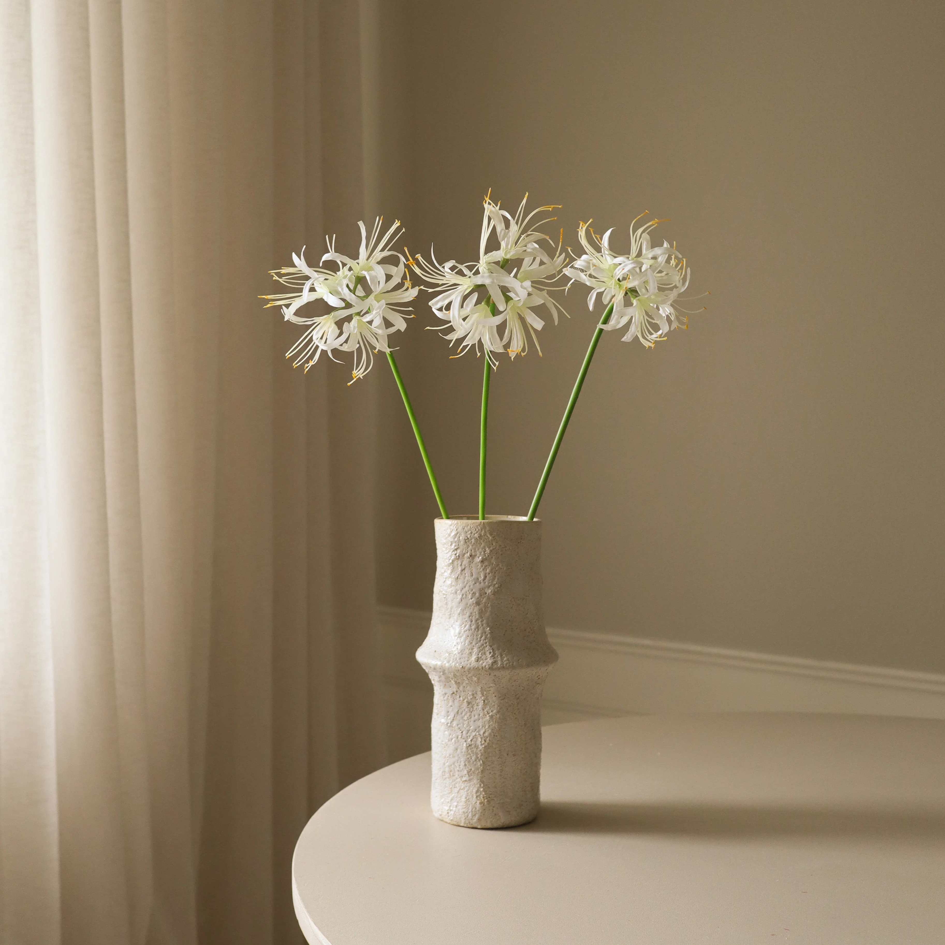 White Higanbana "Spider Lilies" Amaryllis Flower - Image 3