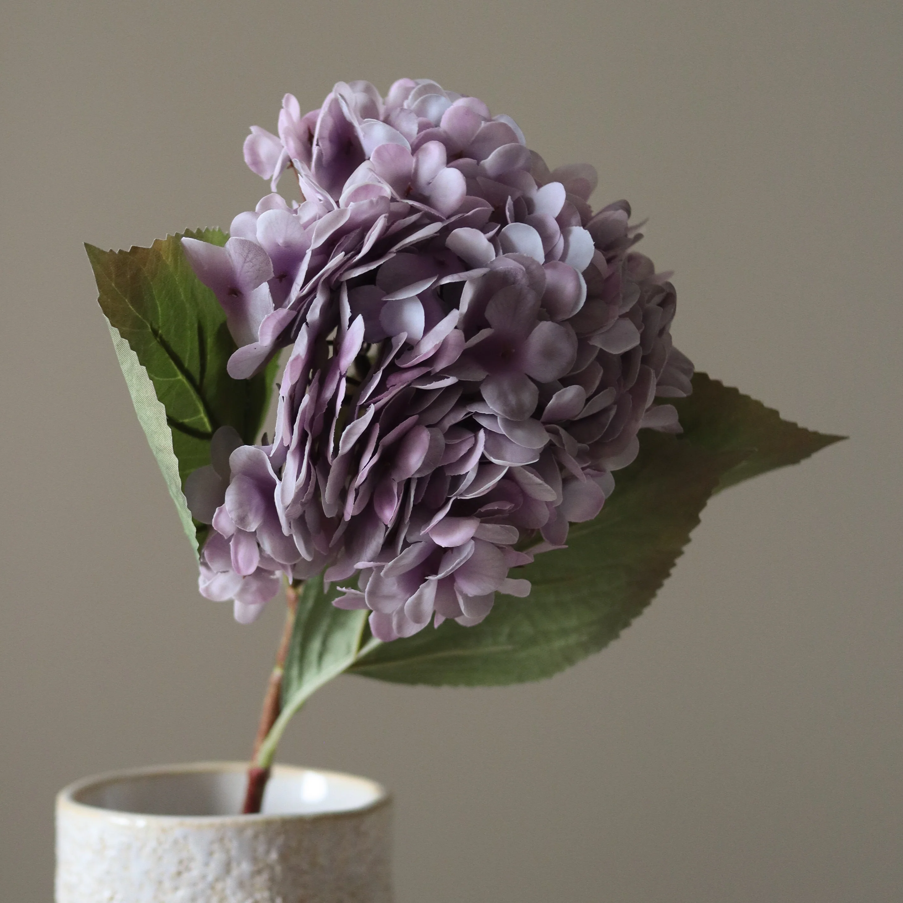 Purple Hydrangea Flower - Image 3