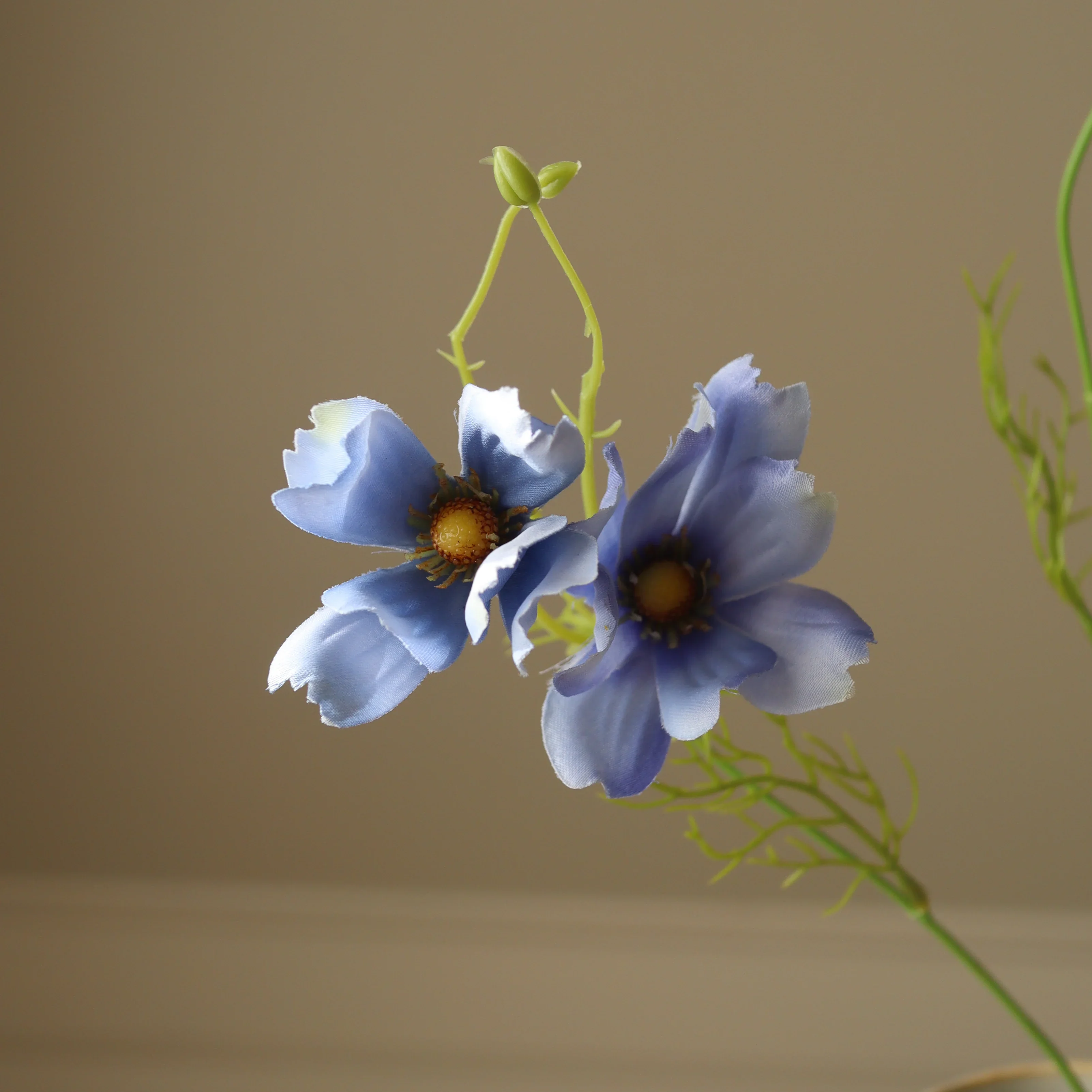 Blue Large Cosmo Daisy Flowers - Image 3