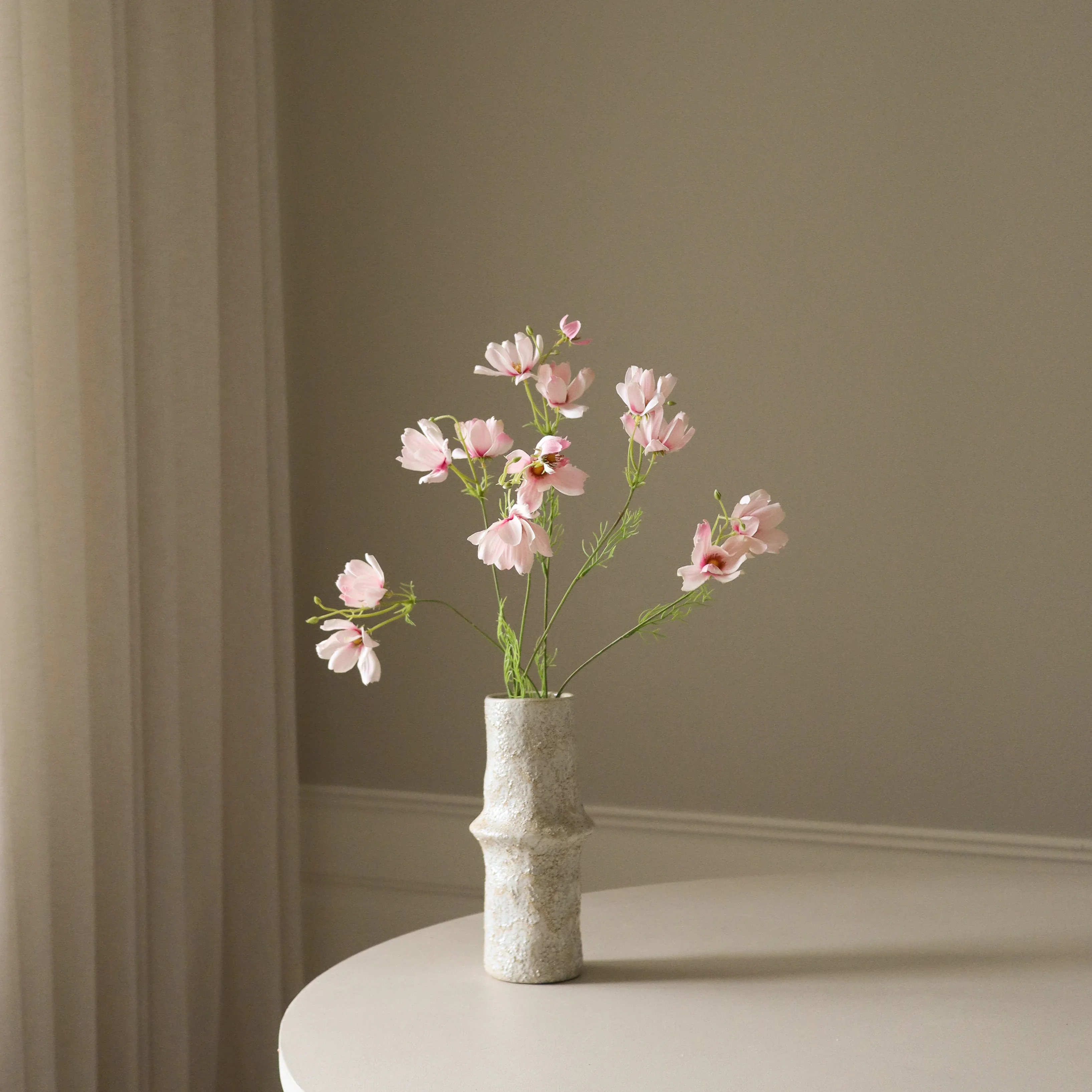 Light Pink Large Cosmo Daisy Flowers - Image 3