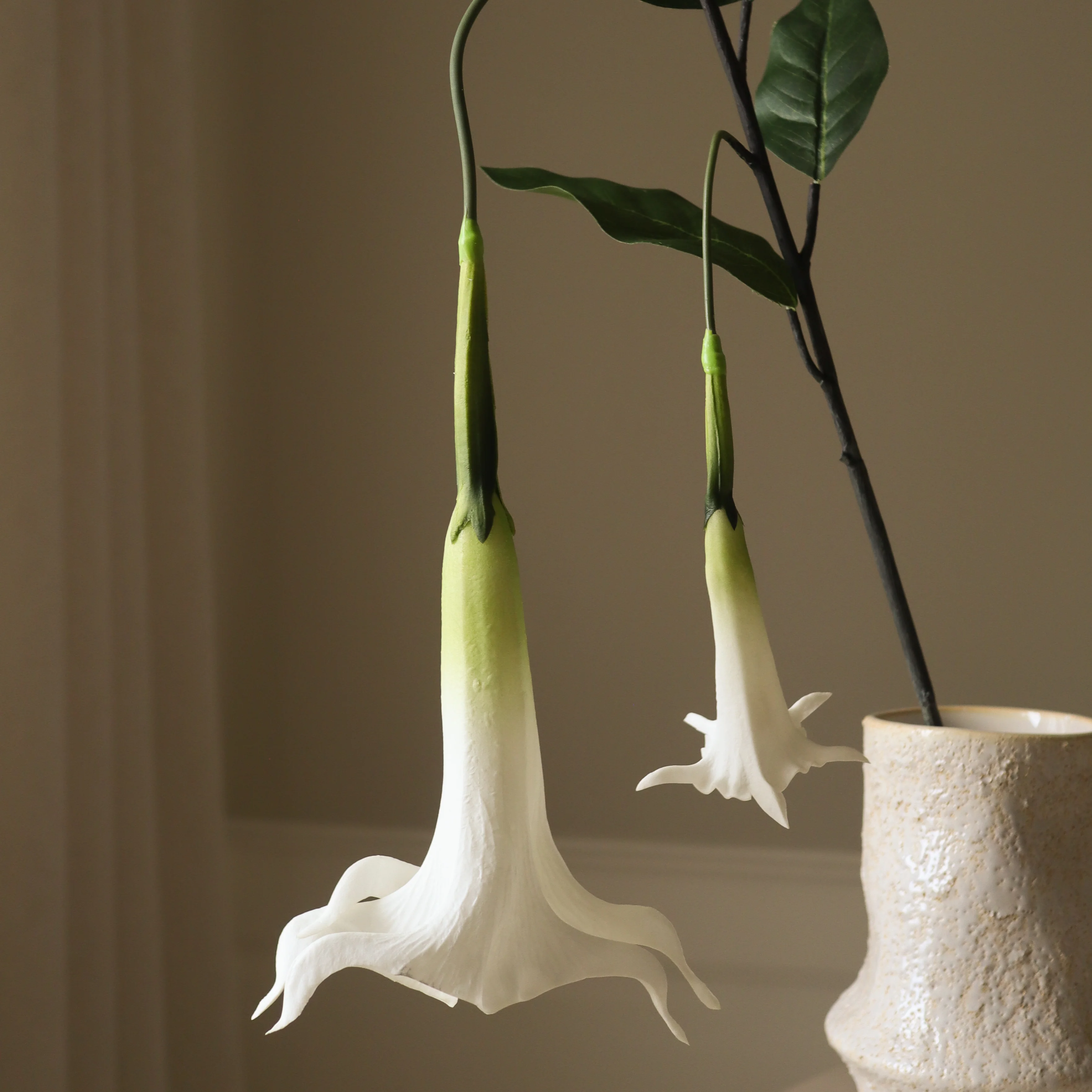 White Large Datura Stramonium Flower - Image 3