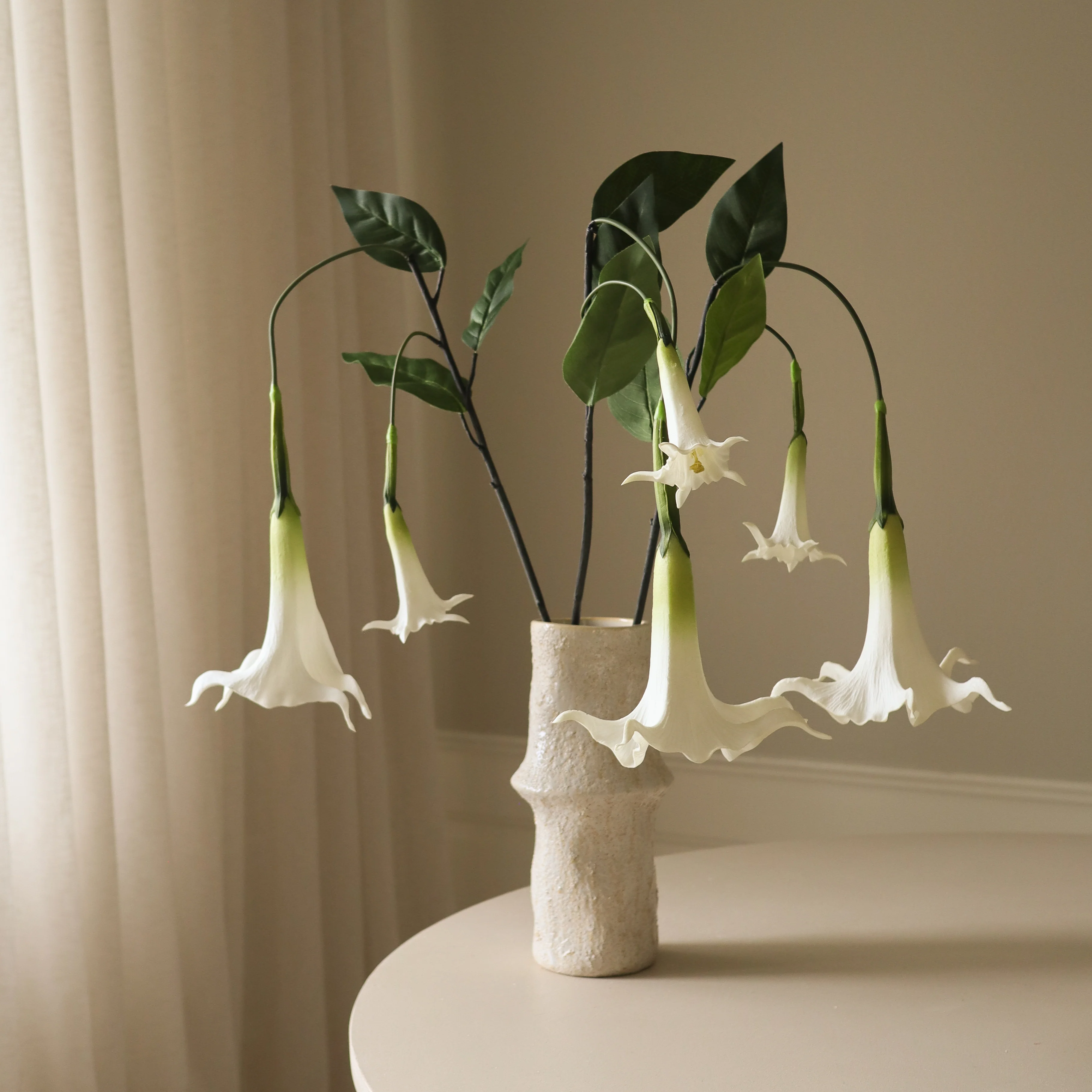 White Large Datura Stramonium Flower - Image 4