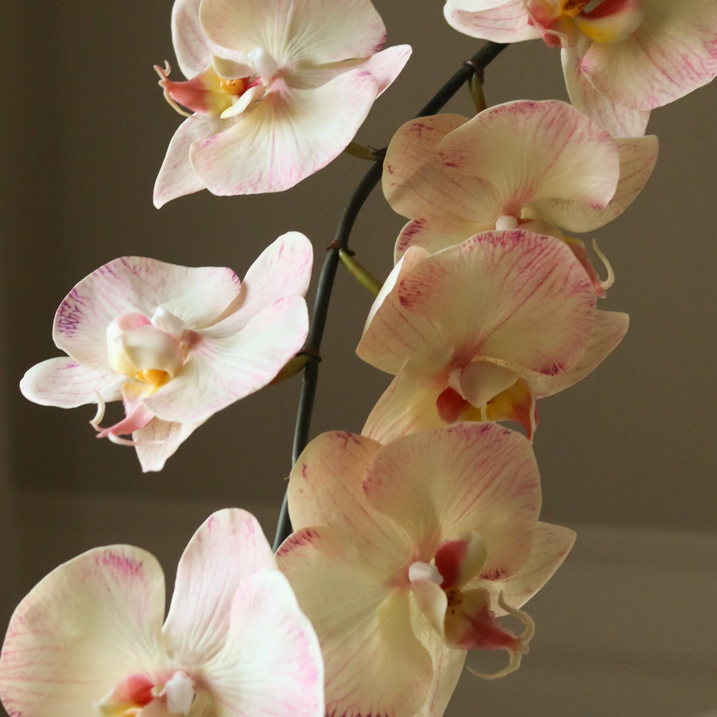 Light Pink Large Orchid Flower - Image 3