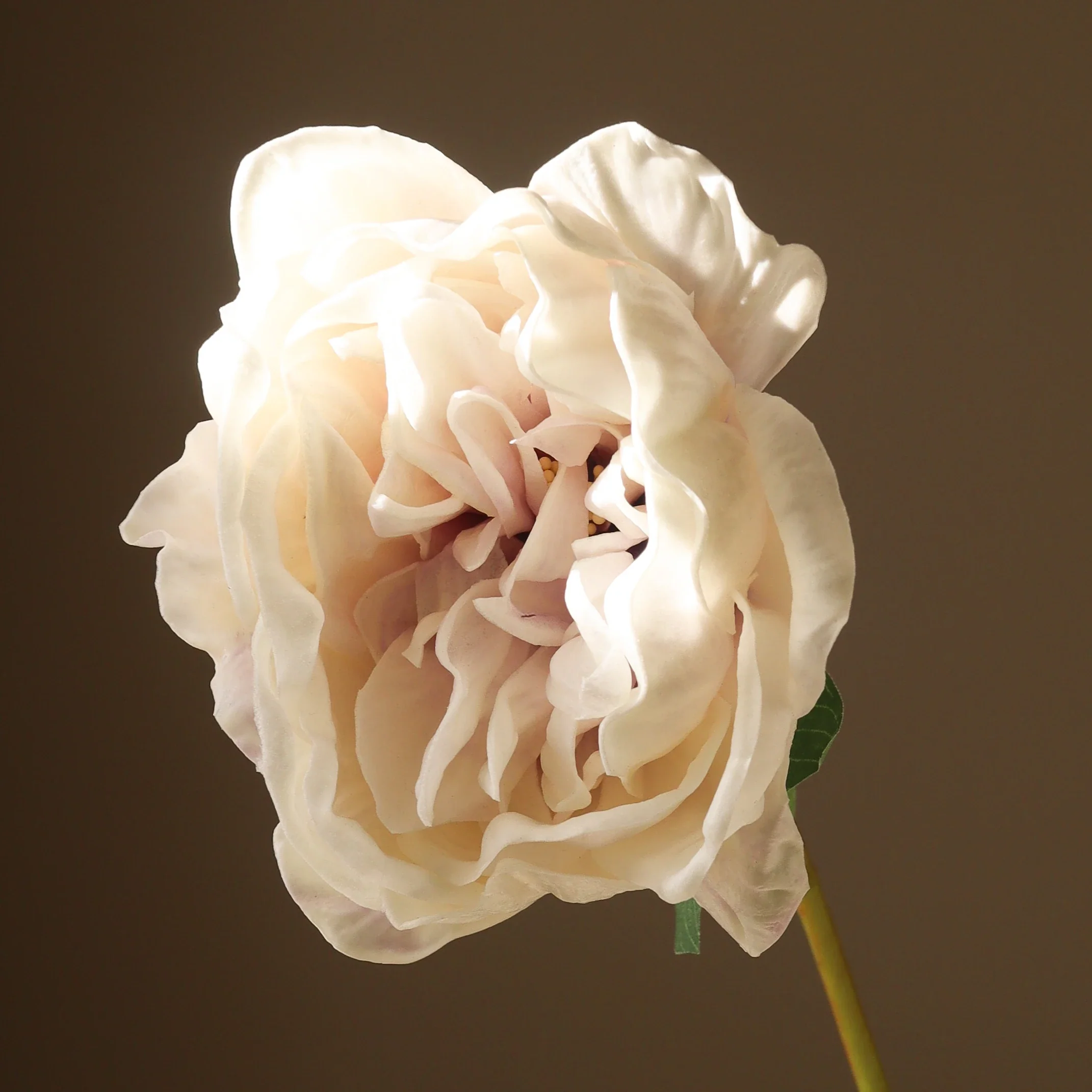Light Purple Large Peony Flower - Image 3