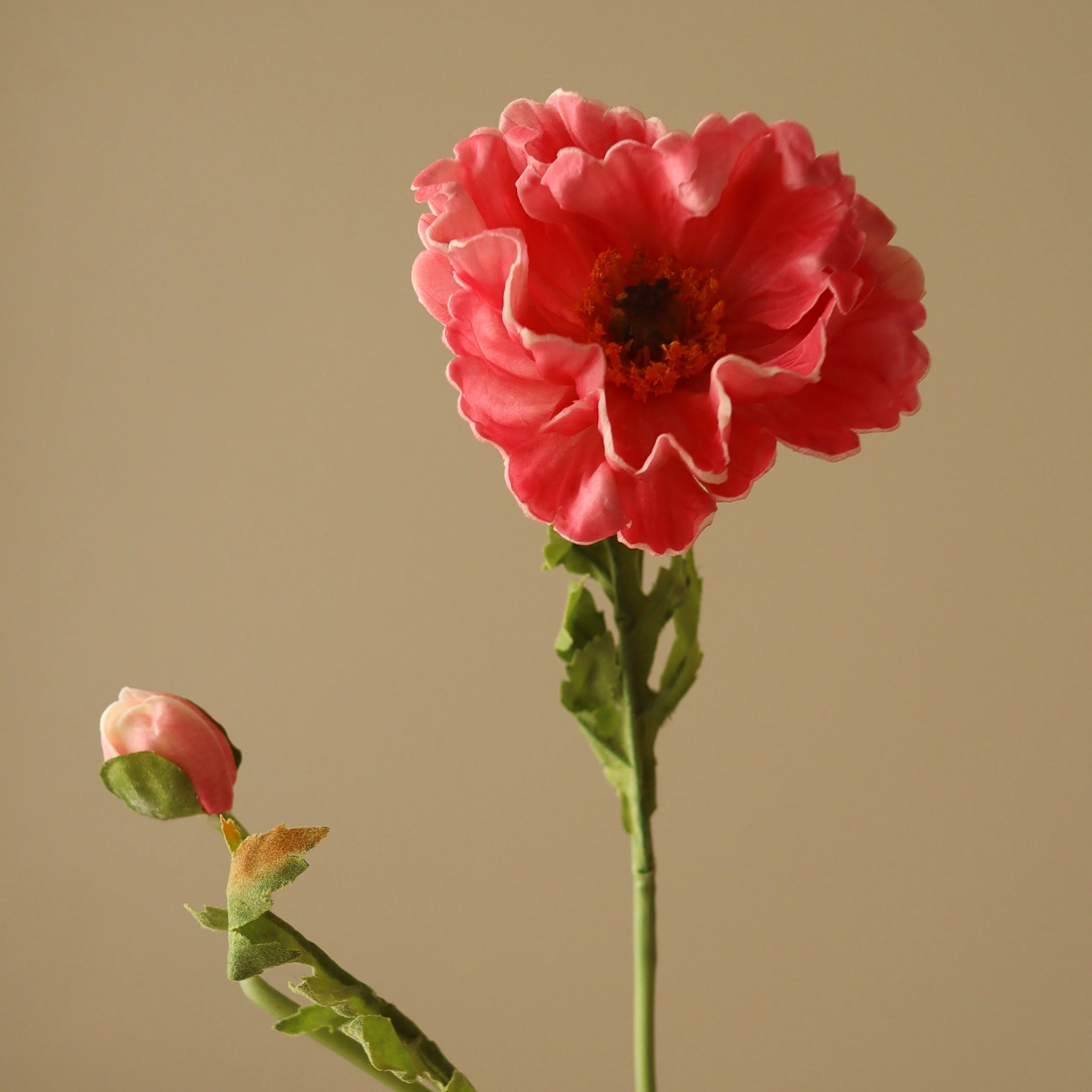Pink Large Poppy Flower - Image 3