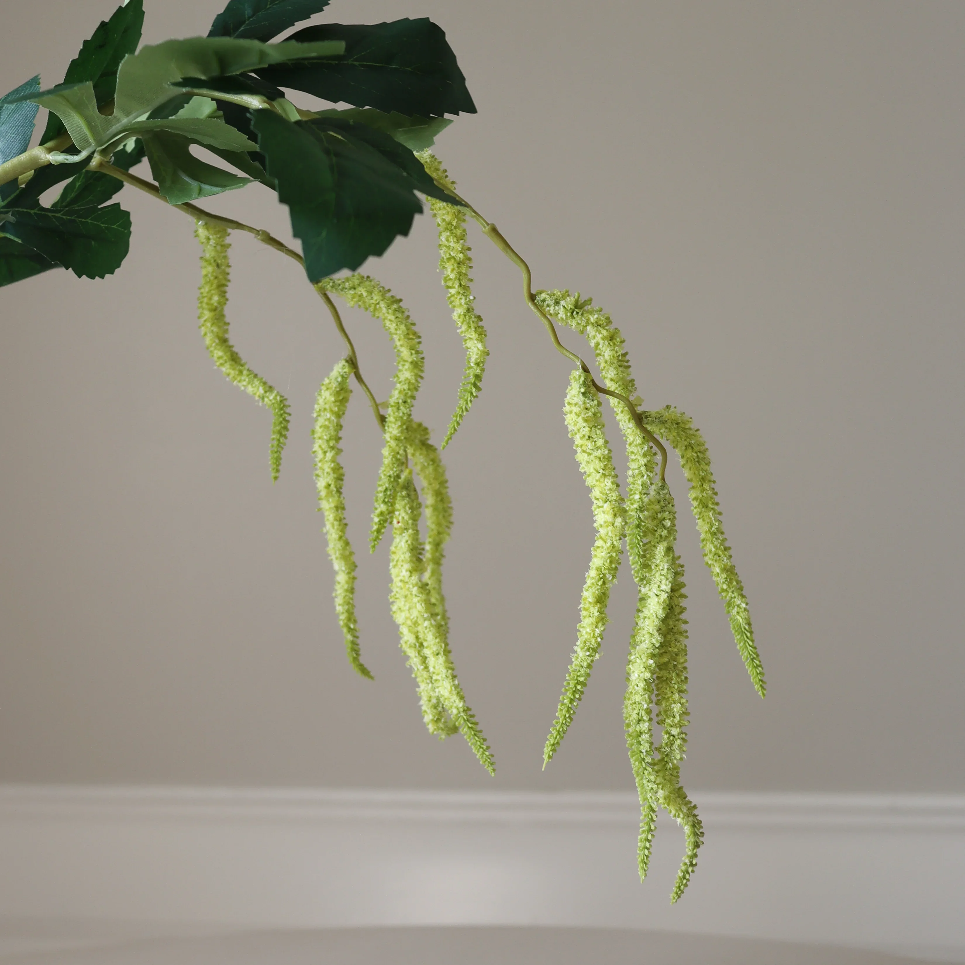 Light Green Amaranthus Caudatus Flower - Image 3