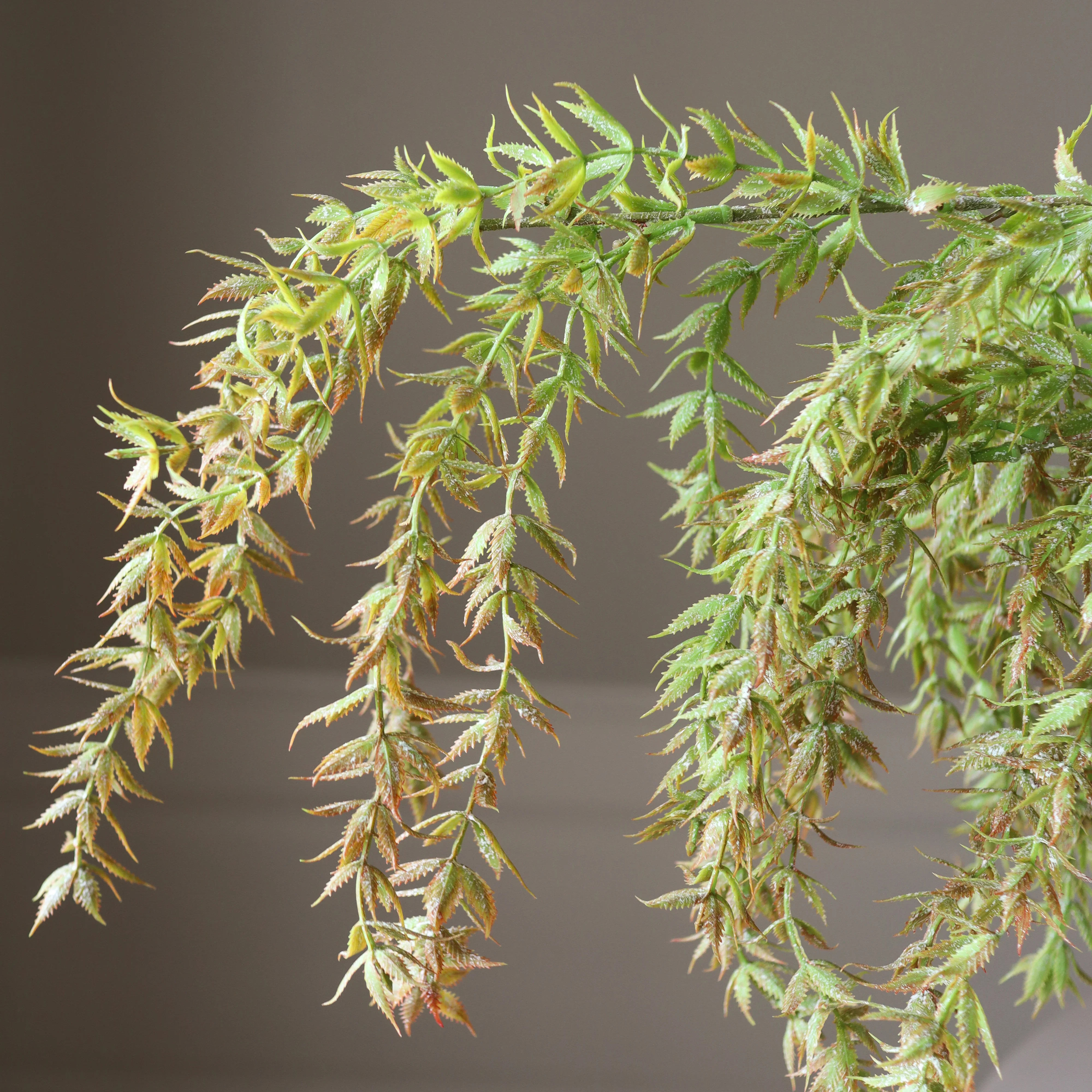Light Green Hanging Branch with Leaves - Image 3