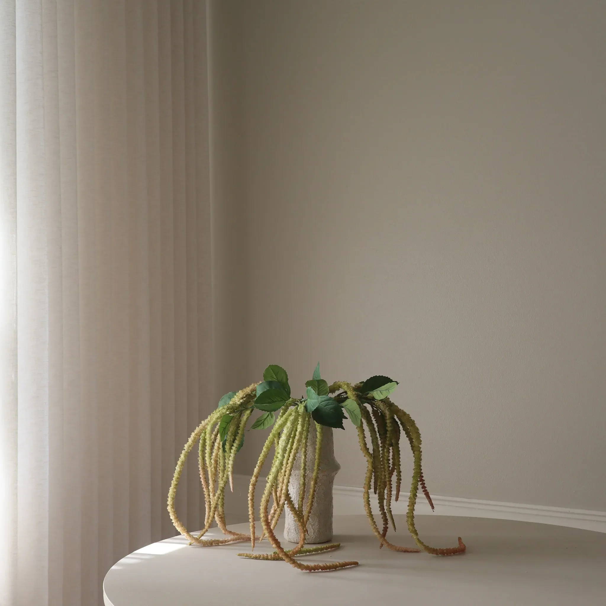 Light Green Three Forks Amaranthus Flower - Image 4