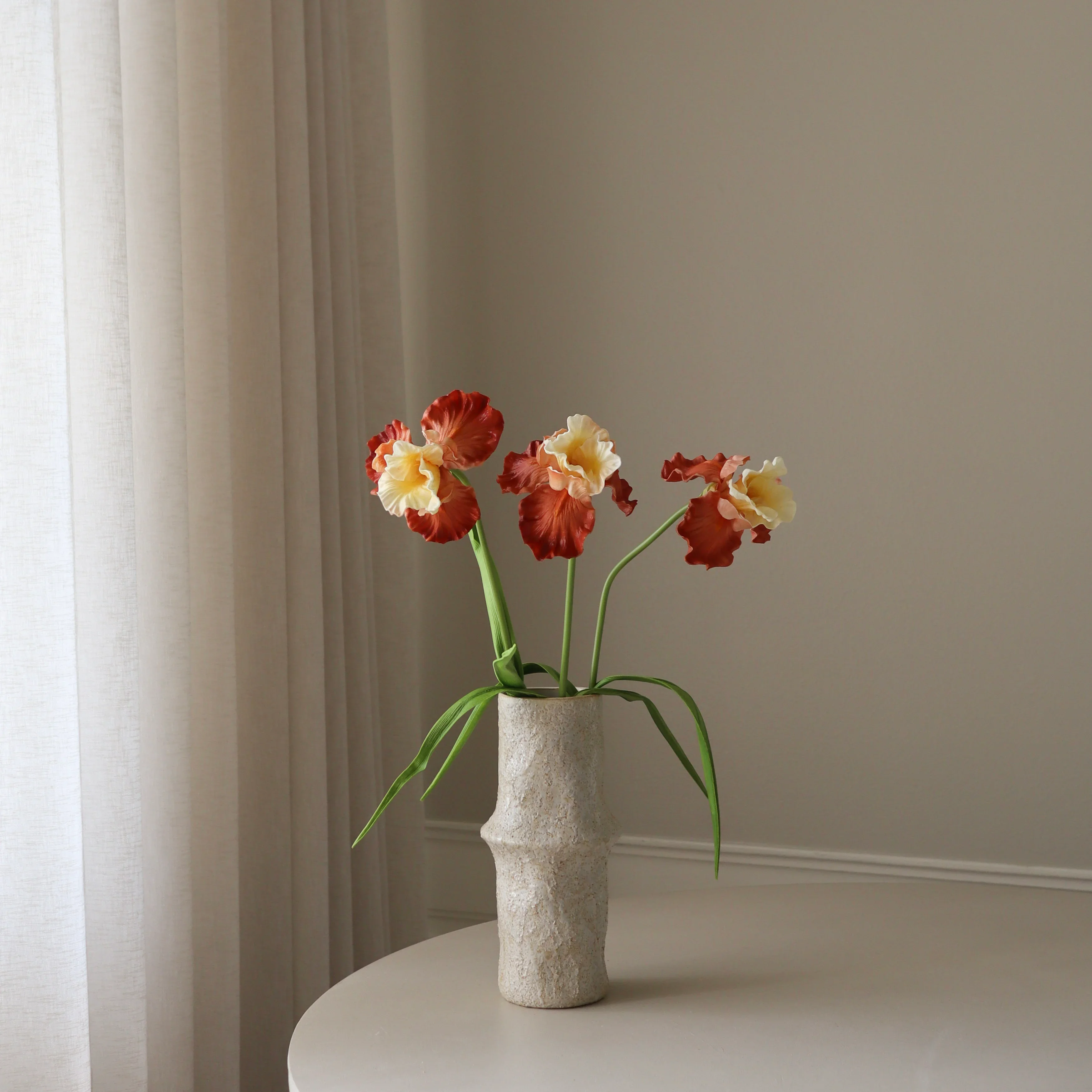 Light Orange Bearded Iris Flower - Image 3