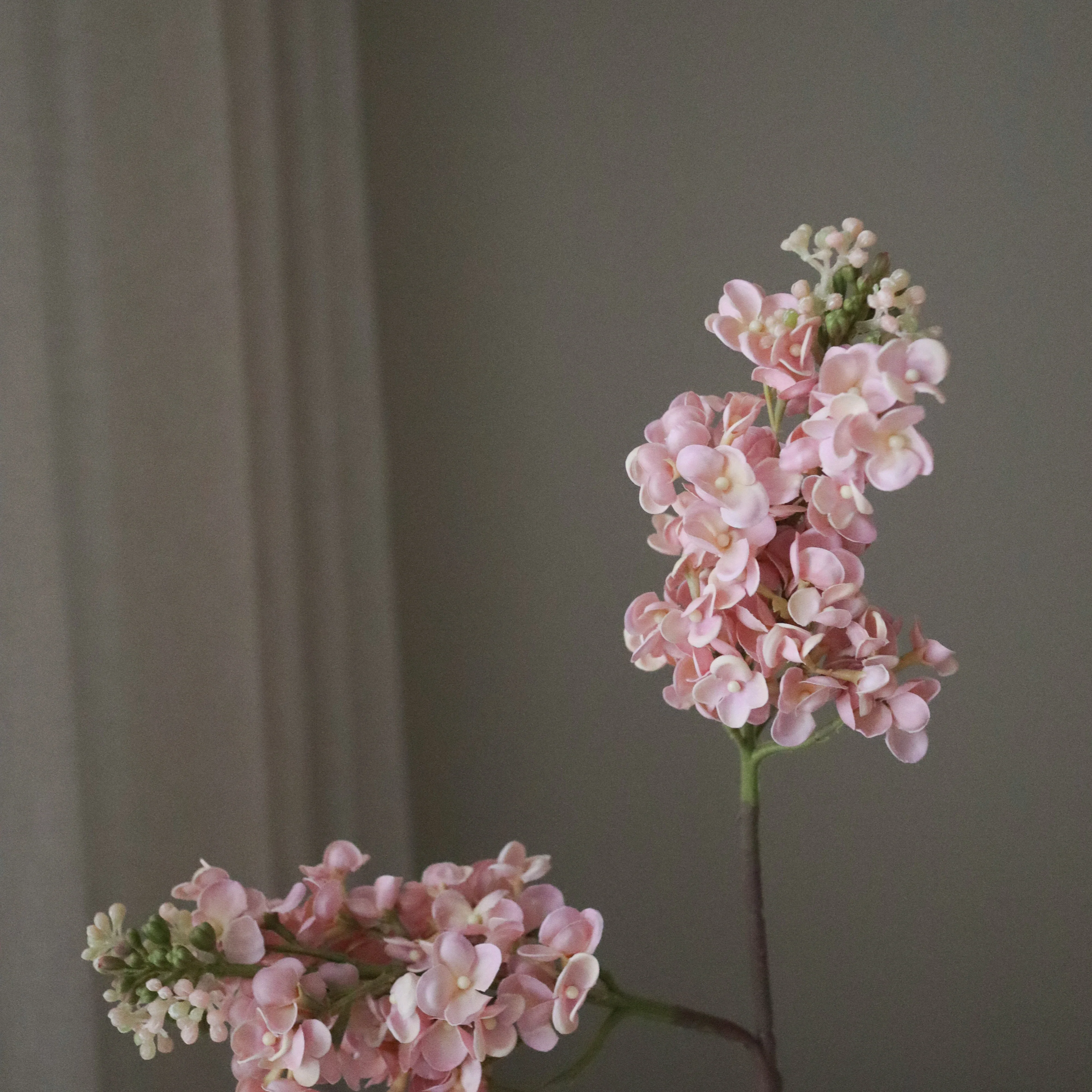 Light Pink Lilac Flower - Image 3