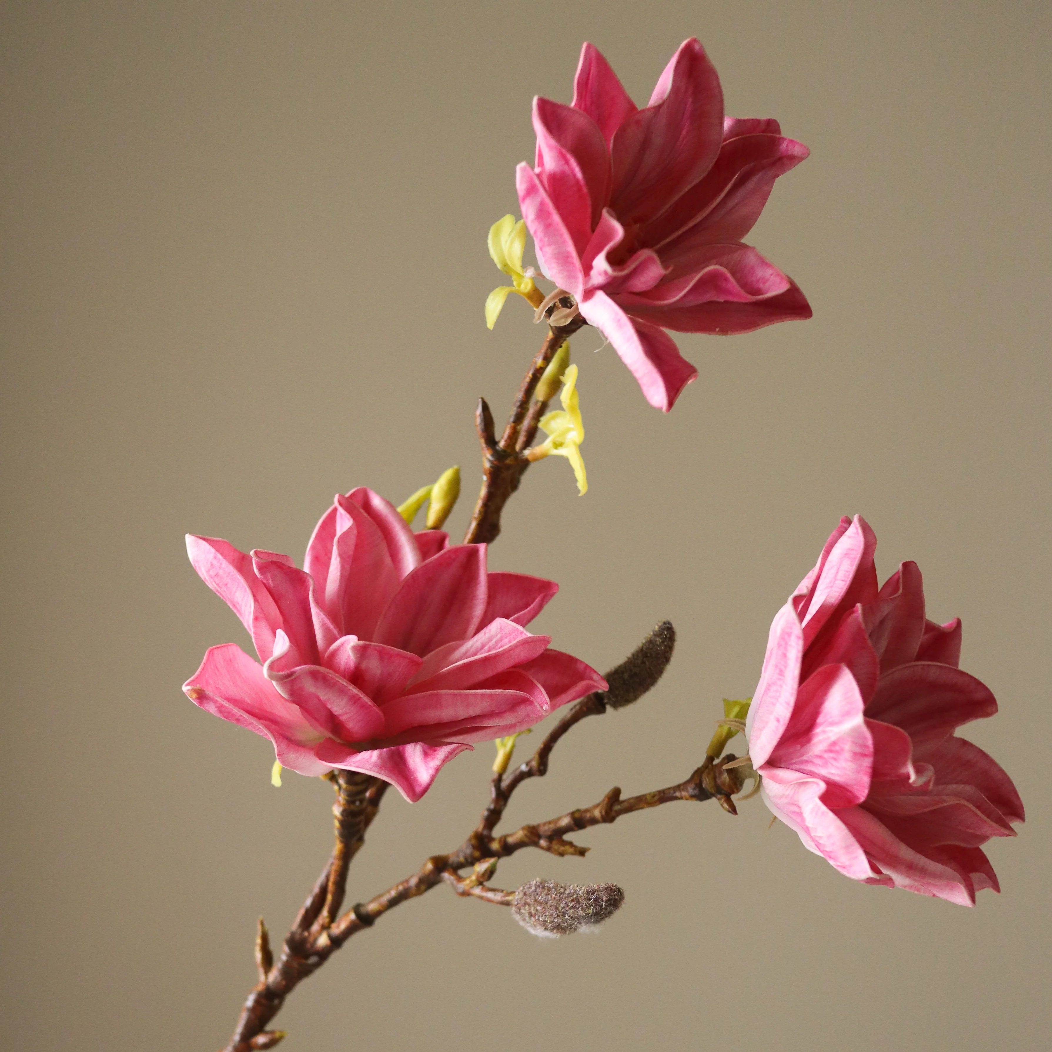 Pink Lily Magnolia Branch - Image 3