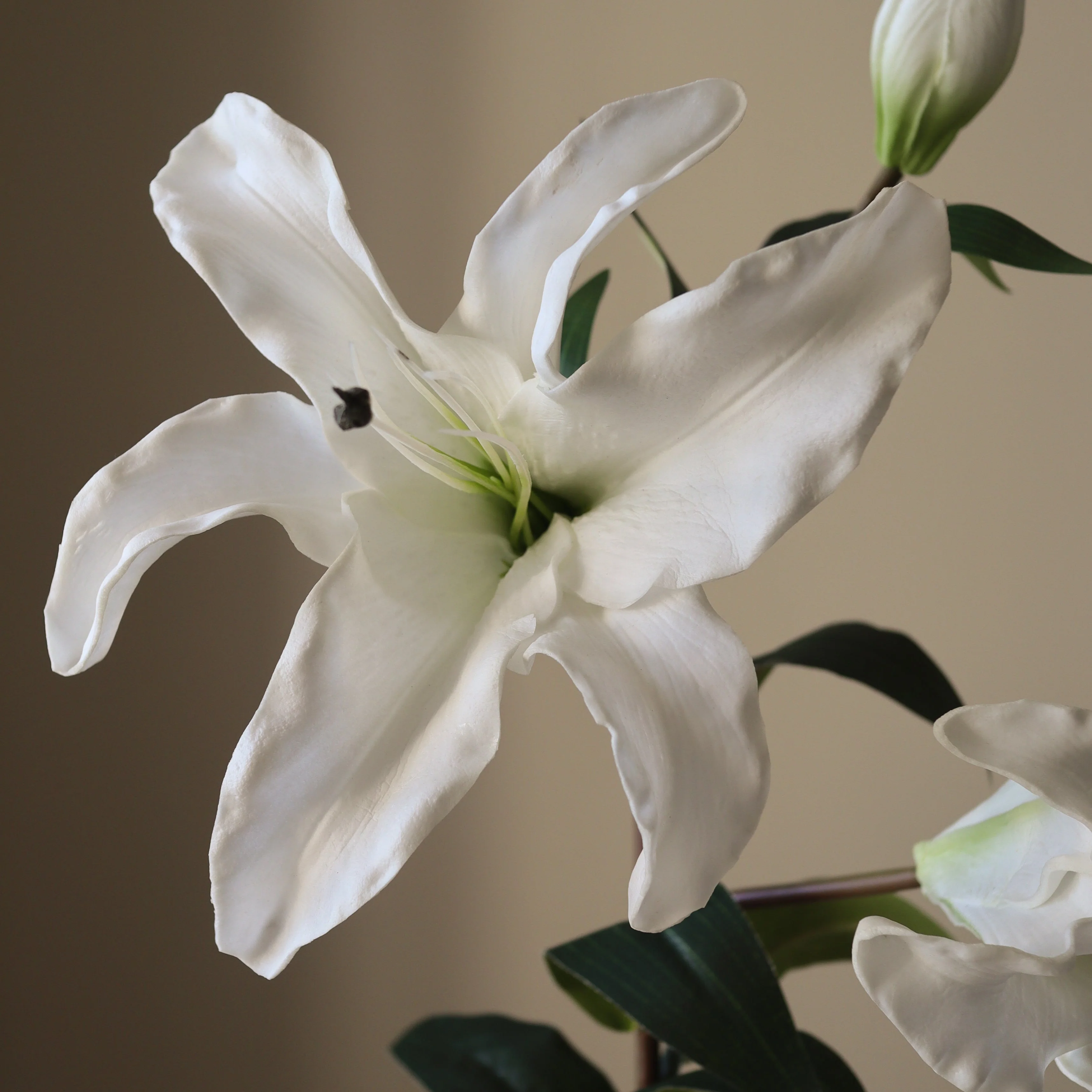 White Majestic Lily Flower - Image 3