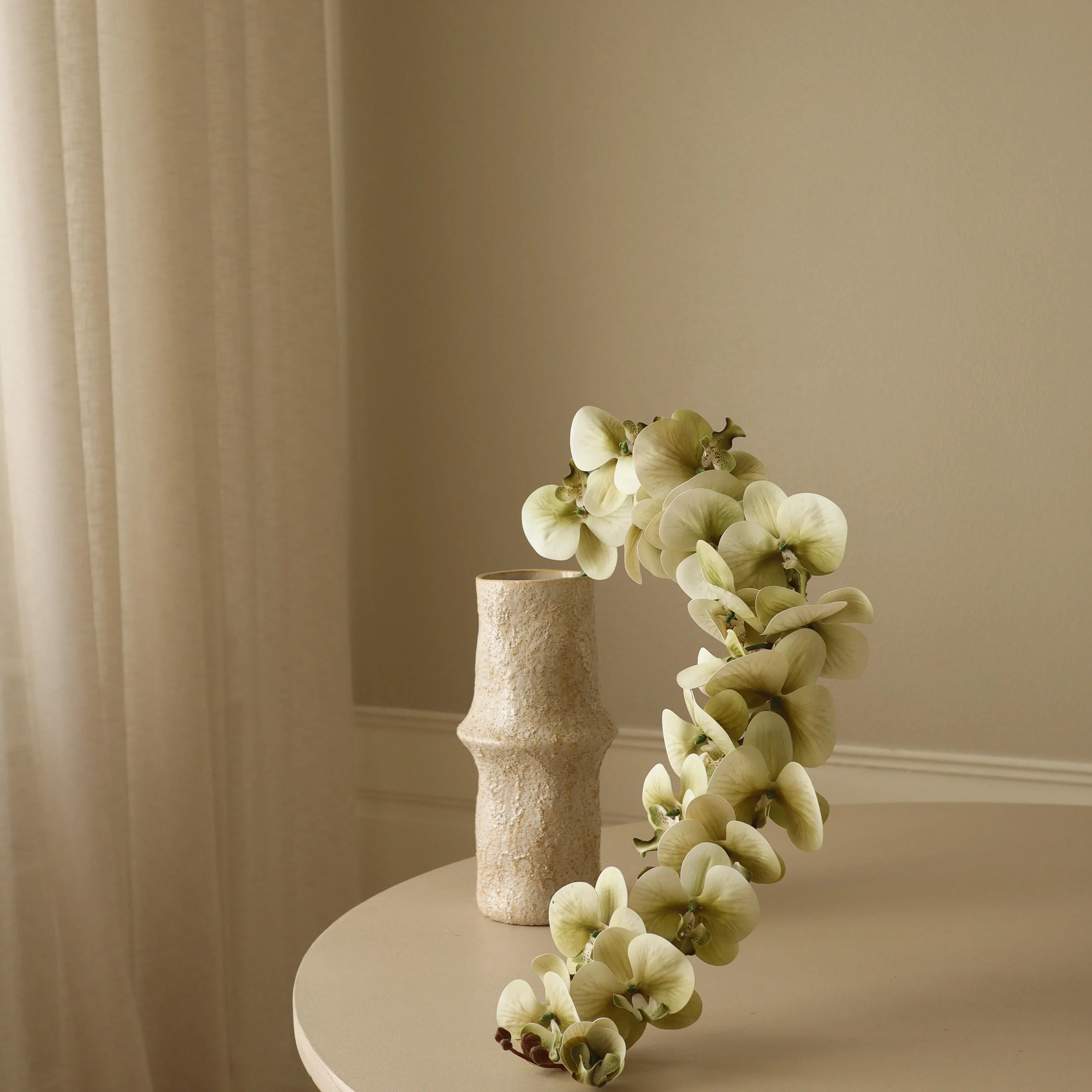 Green Majestic Orchid Flower