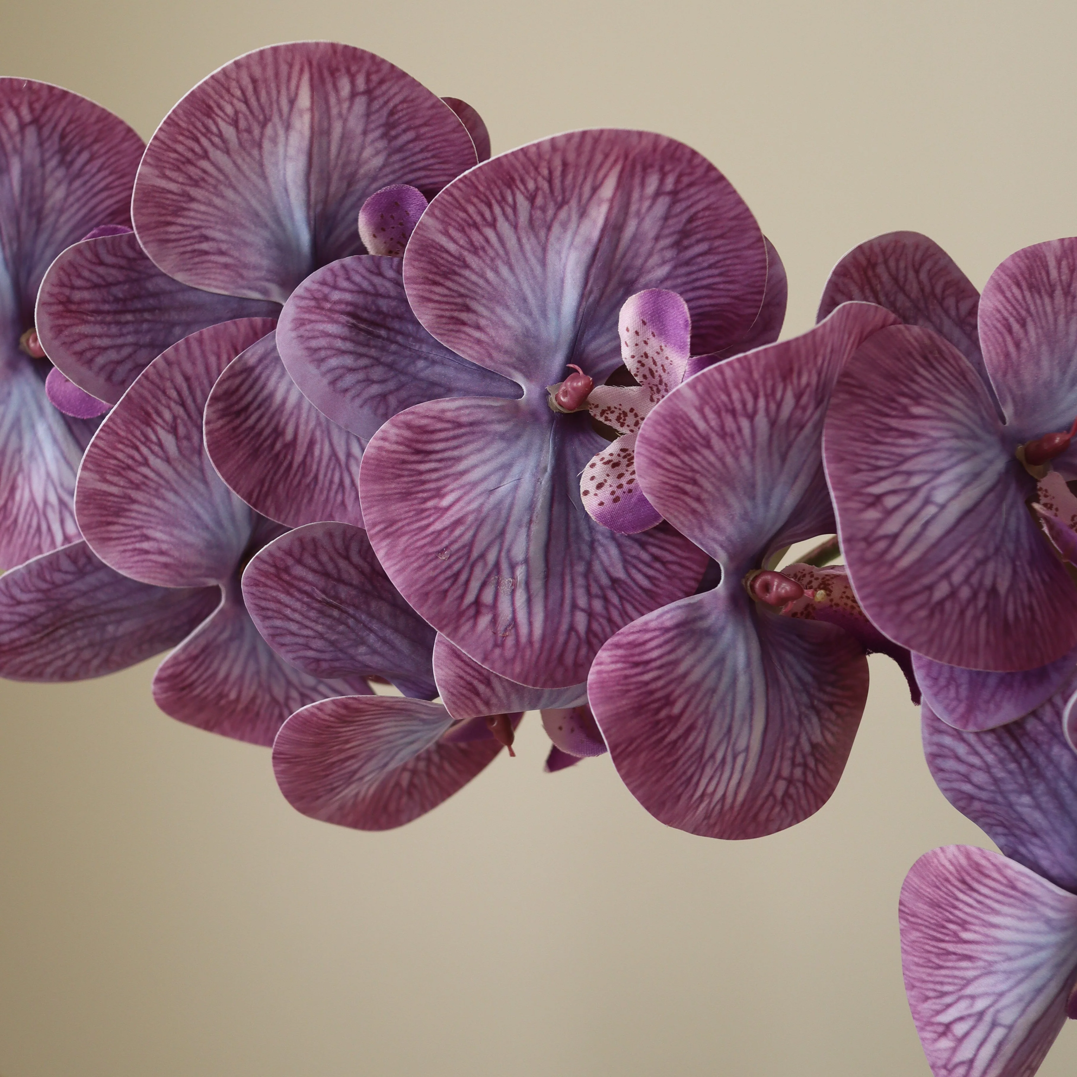 Purple Majestic Orchid Flower - Image 3