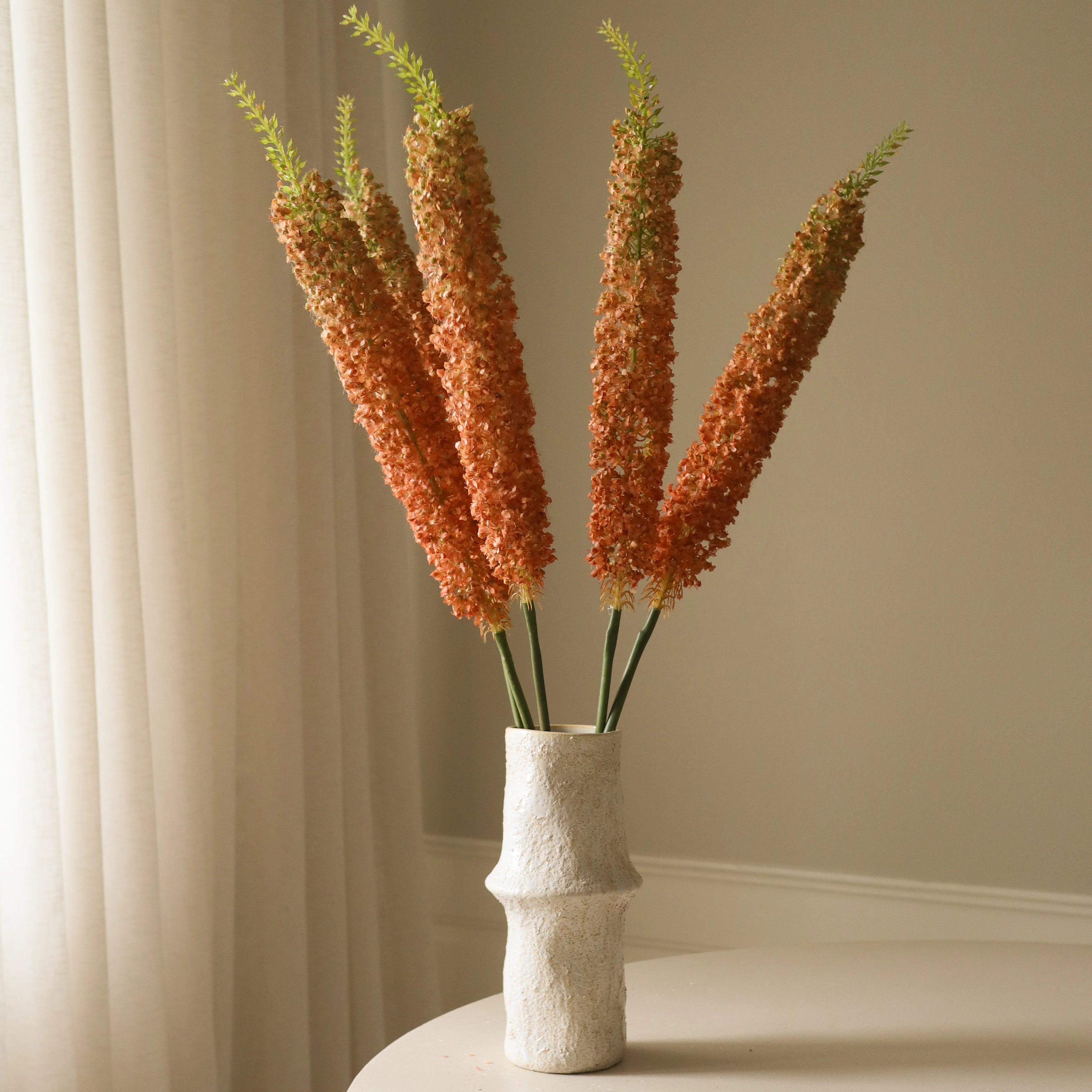 Orange Eremurus Large Foxtail Lily - Image 3