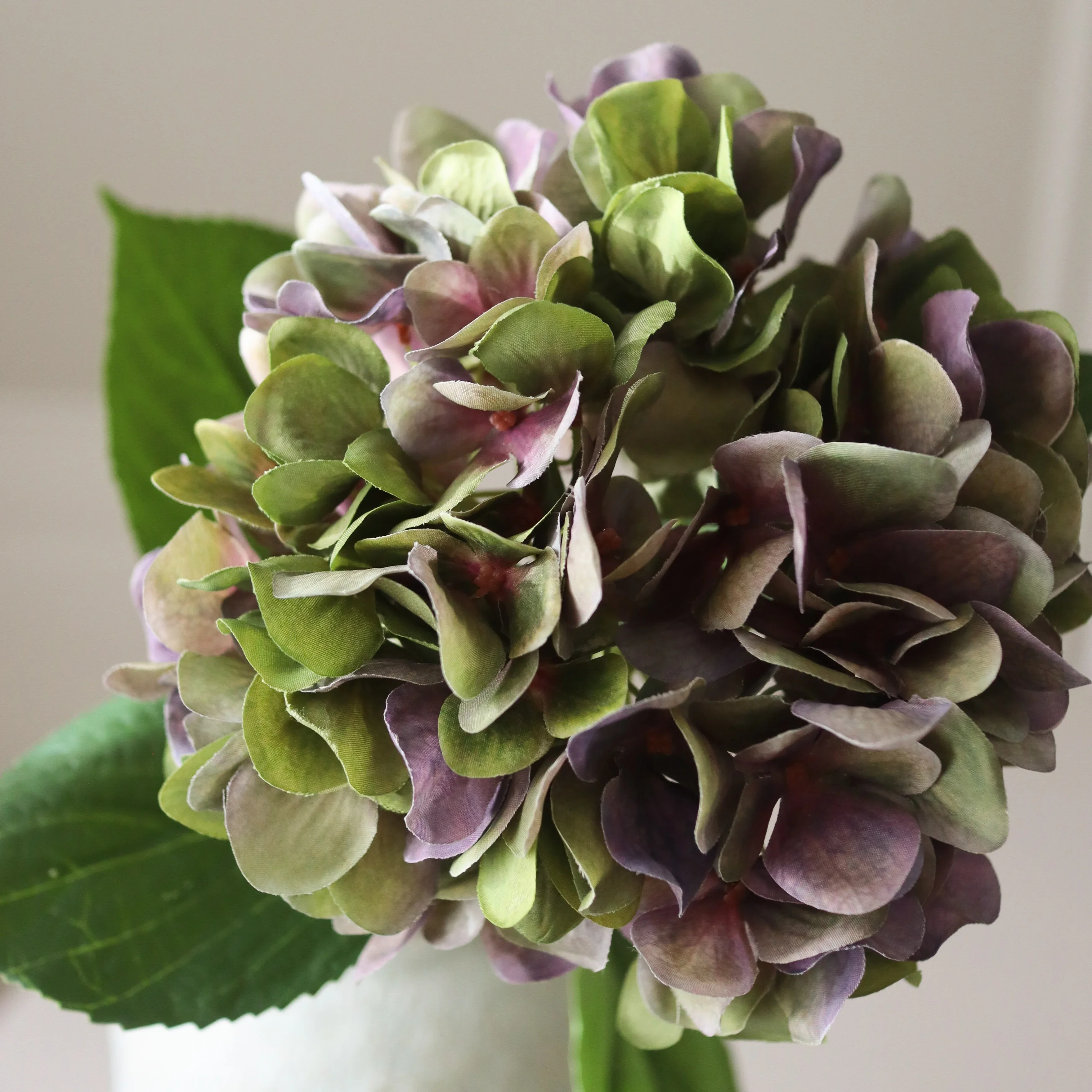 Pale Purple Hydrangea Flower - Image 2