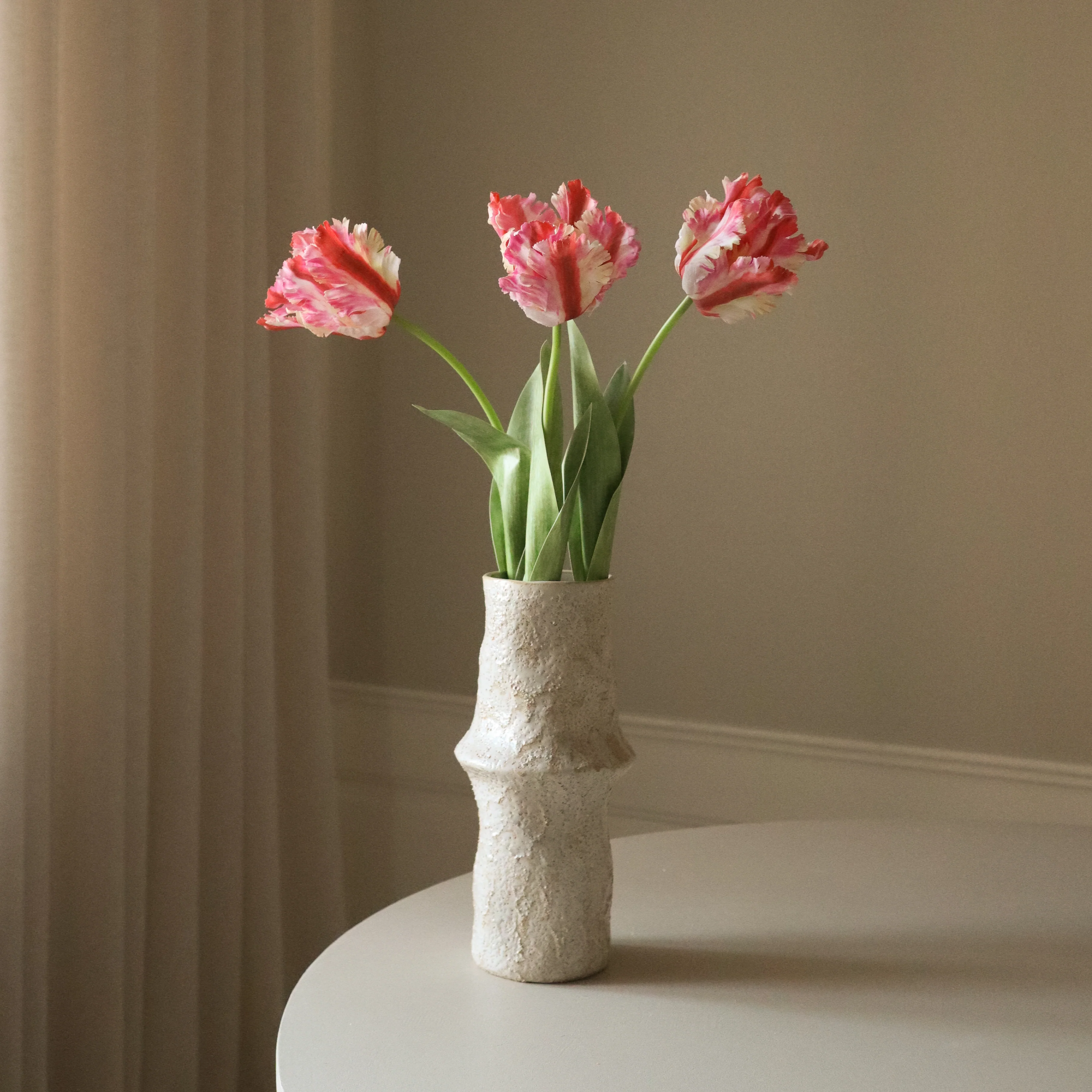 Red Parrot Tulip Flower - Image 4