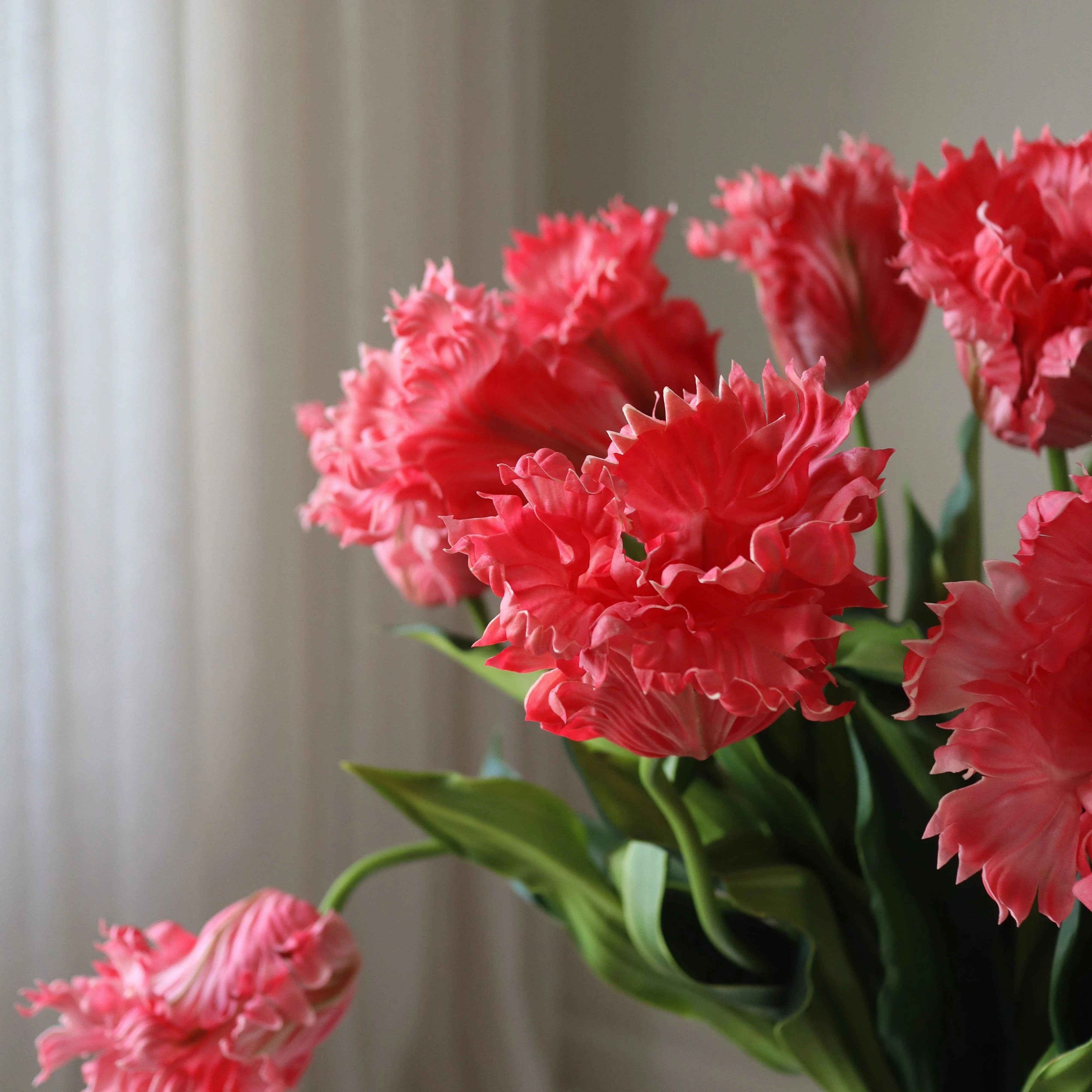 Red Parrot Tulips Bouquet - Image 3