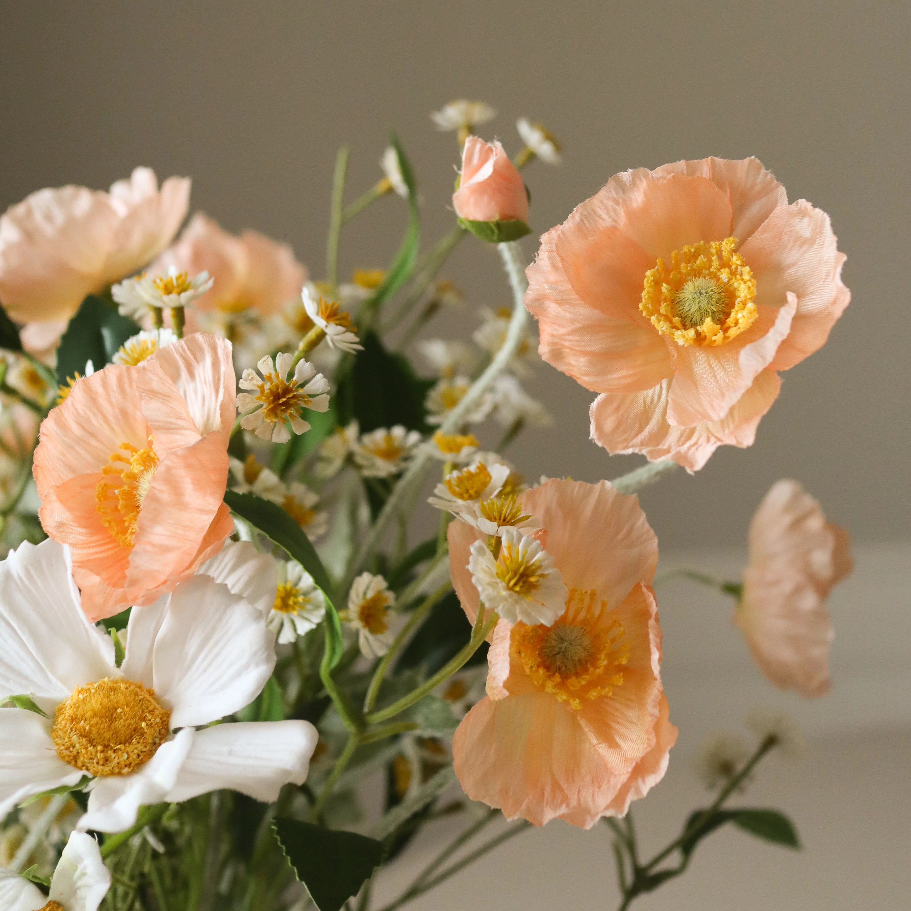 Peach Meadow - Image 3