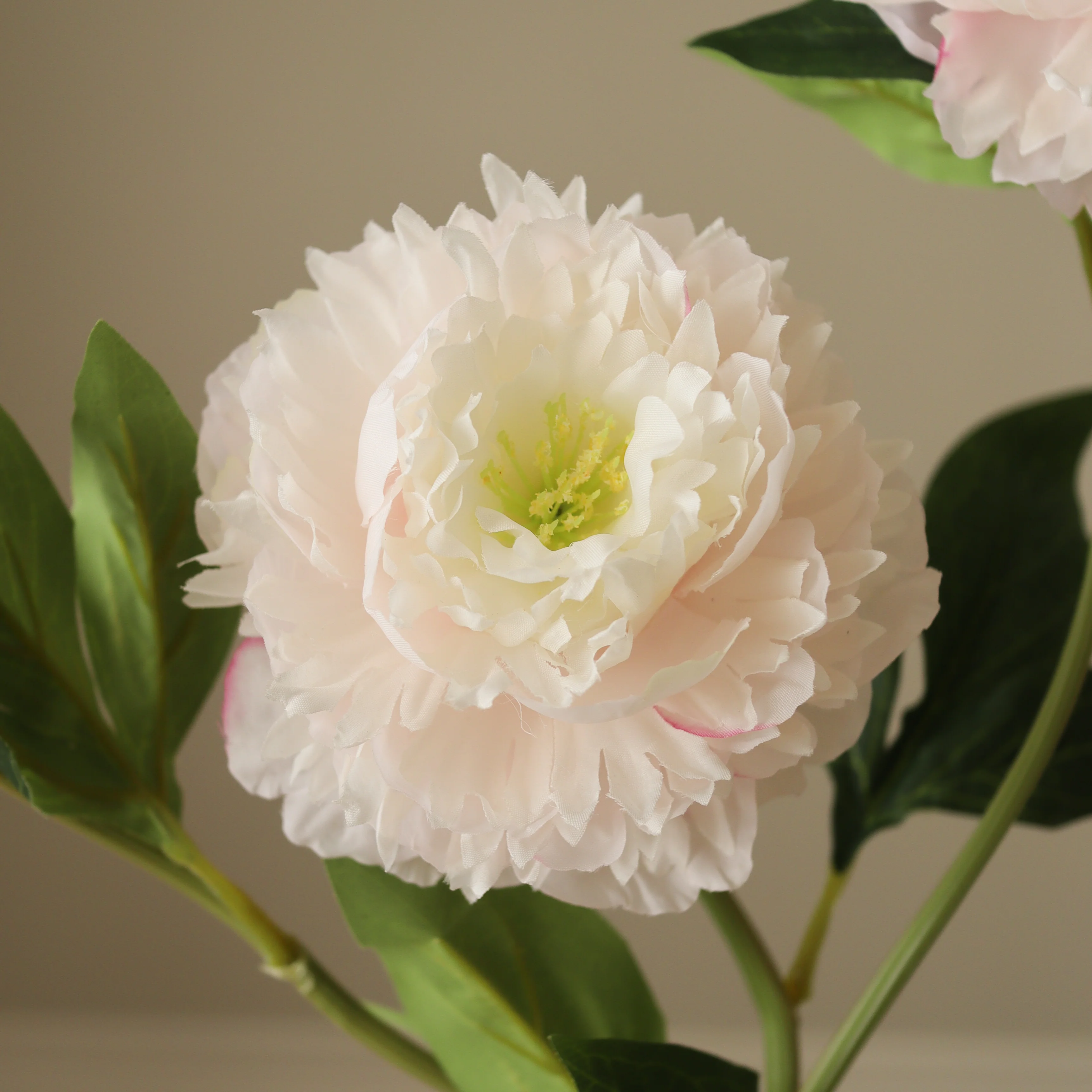Light Pink Peony Flower - Image 2