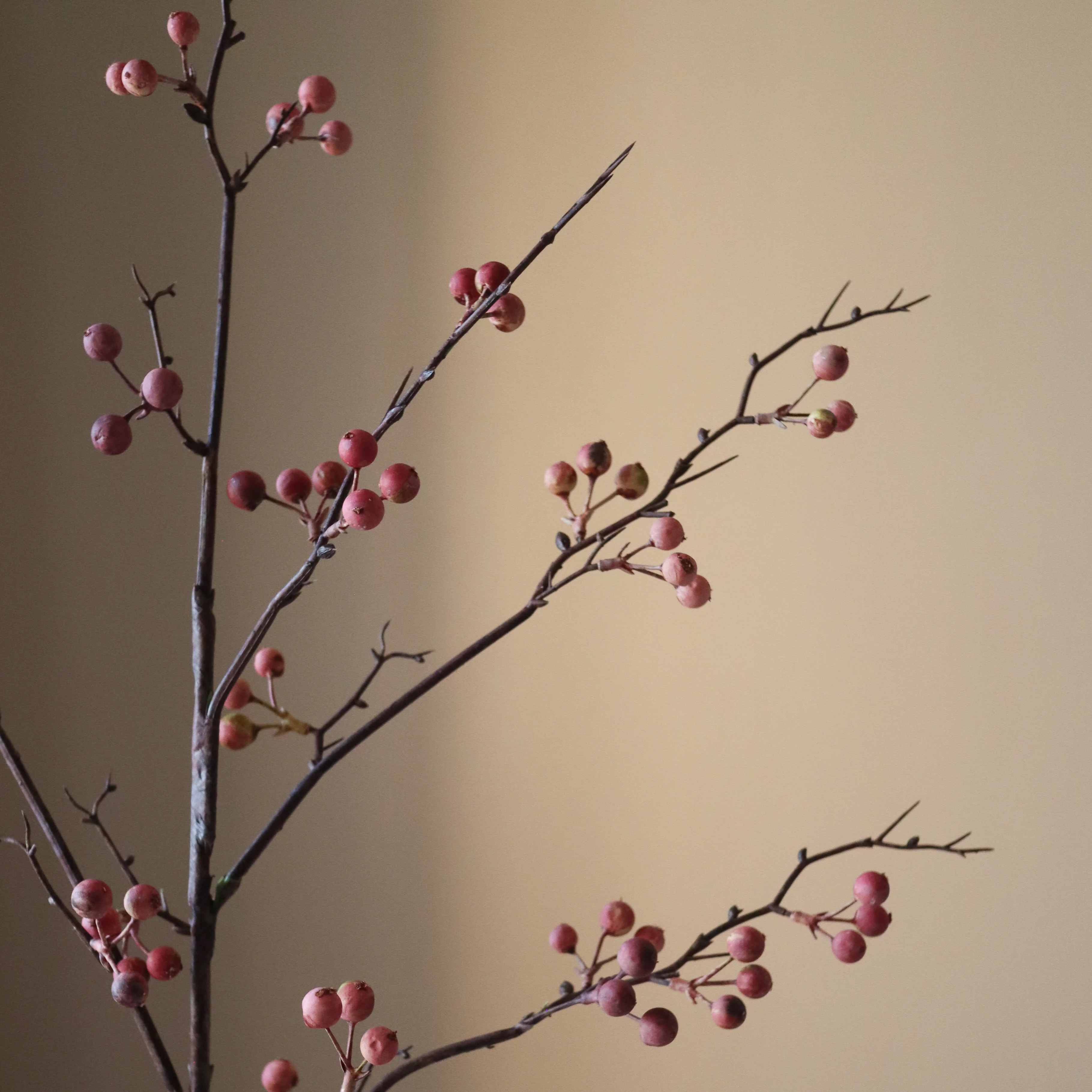 Pink Berry Branch - Image 3