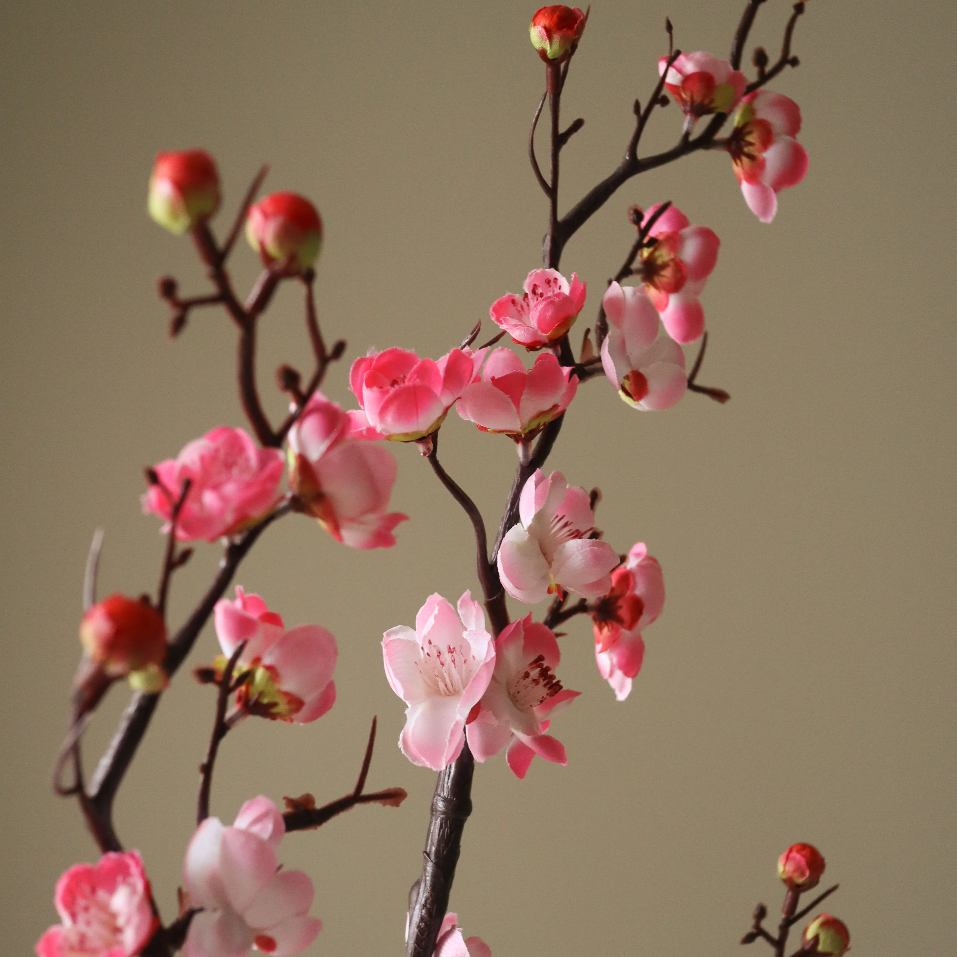 Pink Plum Blossom Branch - Image 3