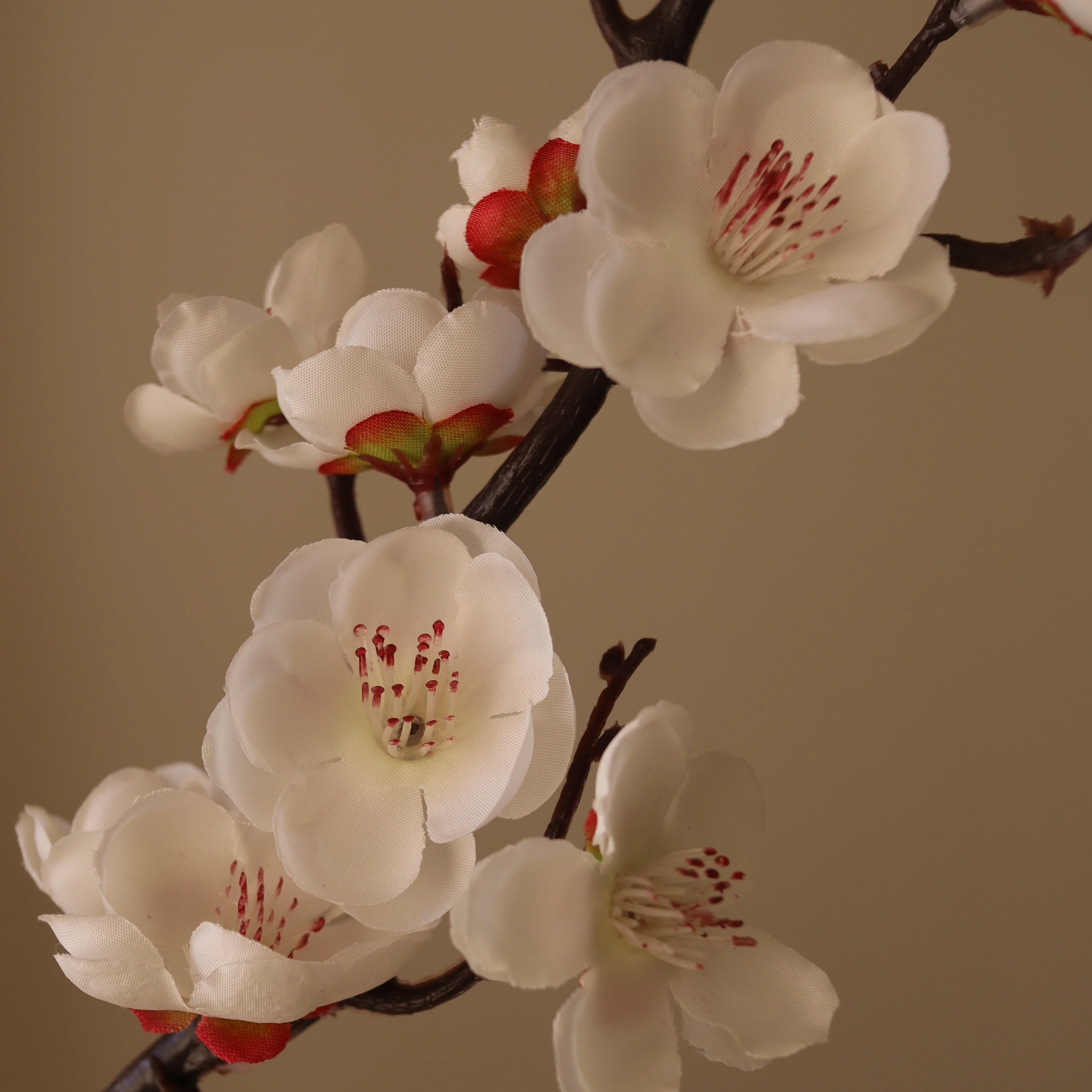 White Plum Blossom Branch - Image 3