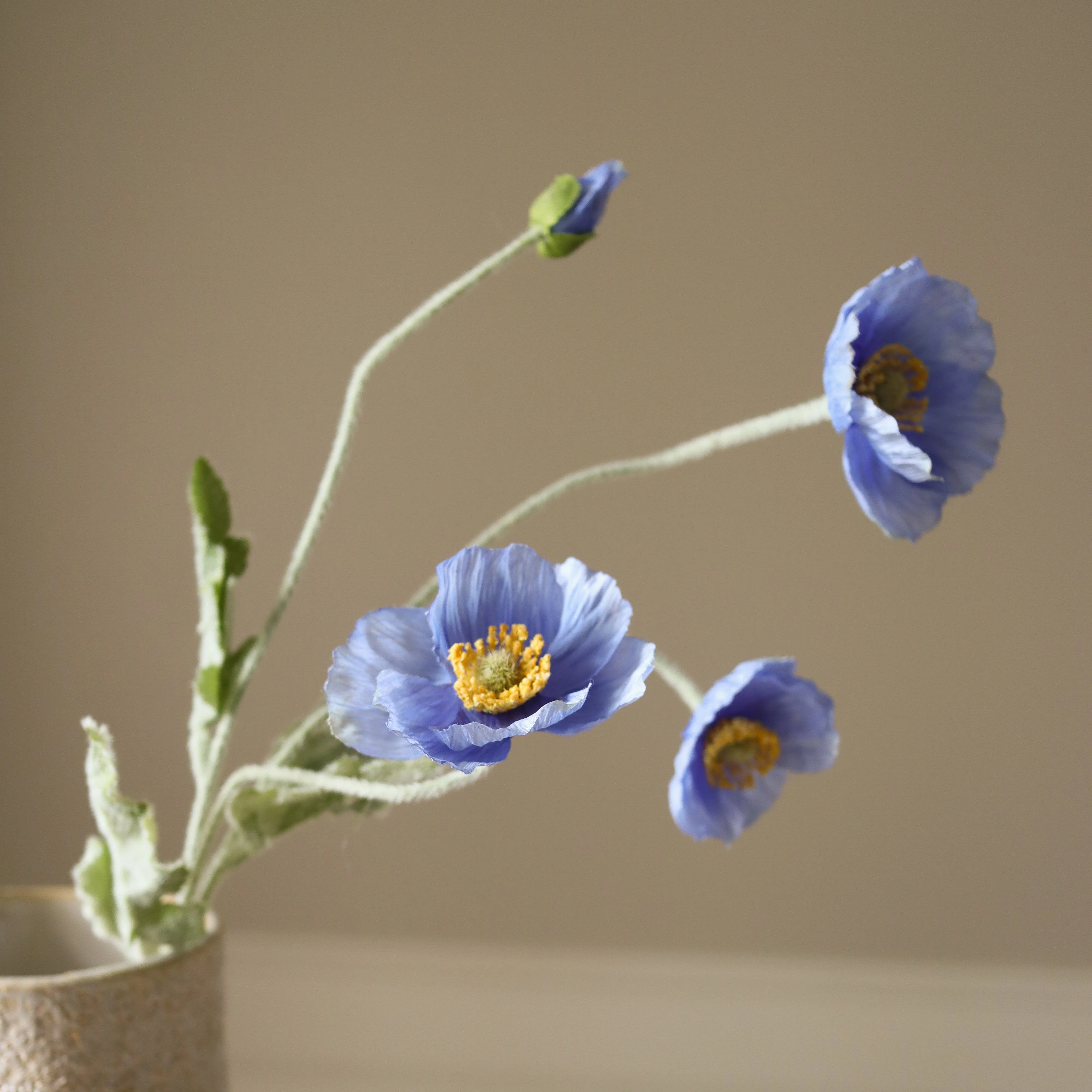 Blue Poppy Flower - Image 3