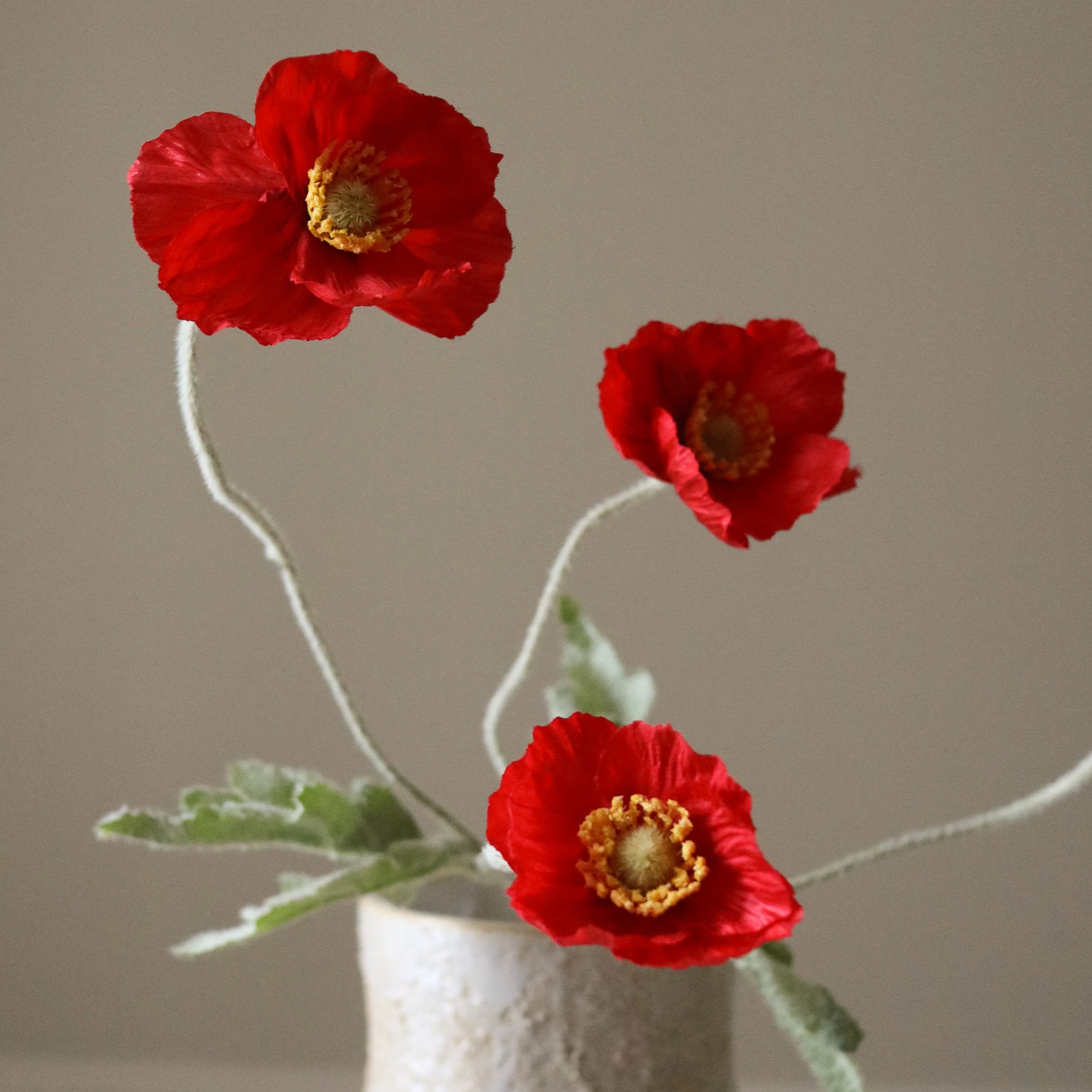Red Poppy Flower - Image 3