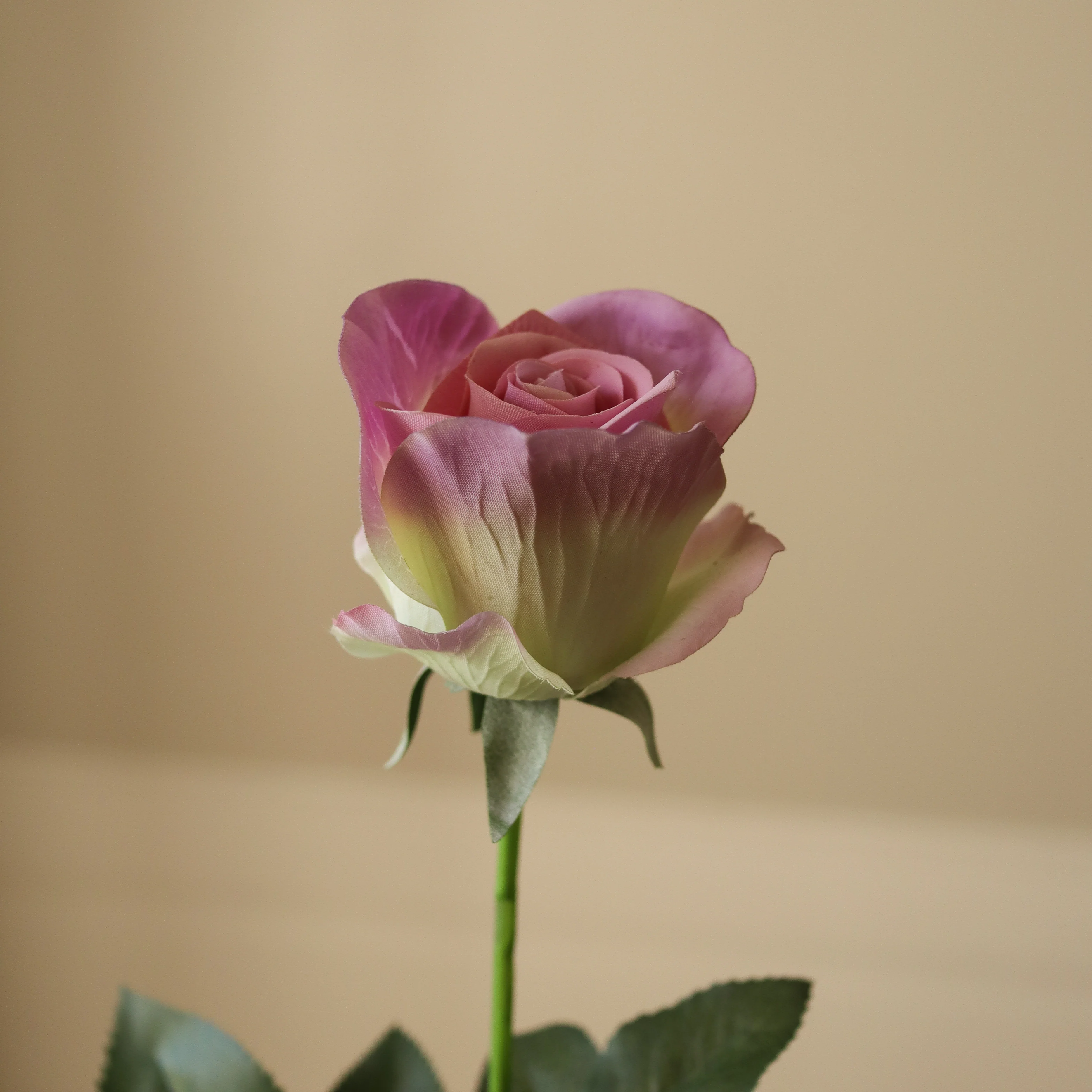 Purple Premium Longstem Rose - Image 3