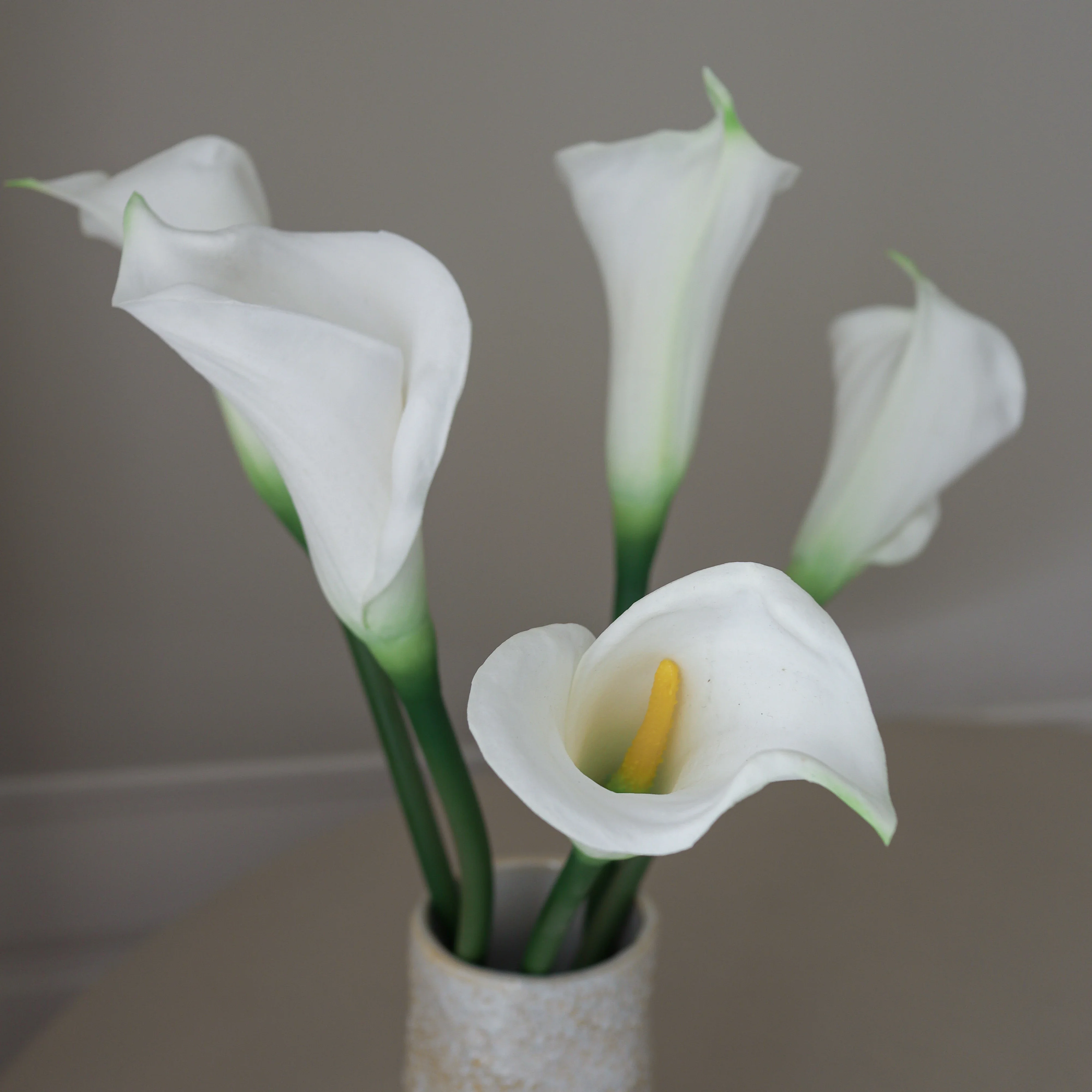Pure Calla - Image 2