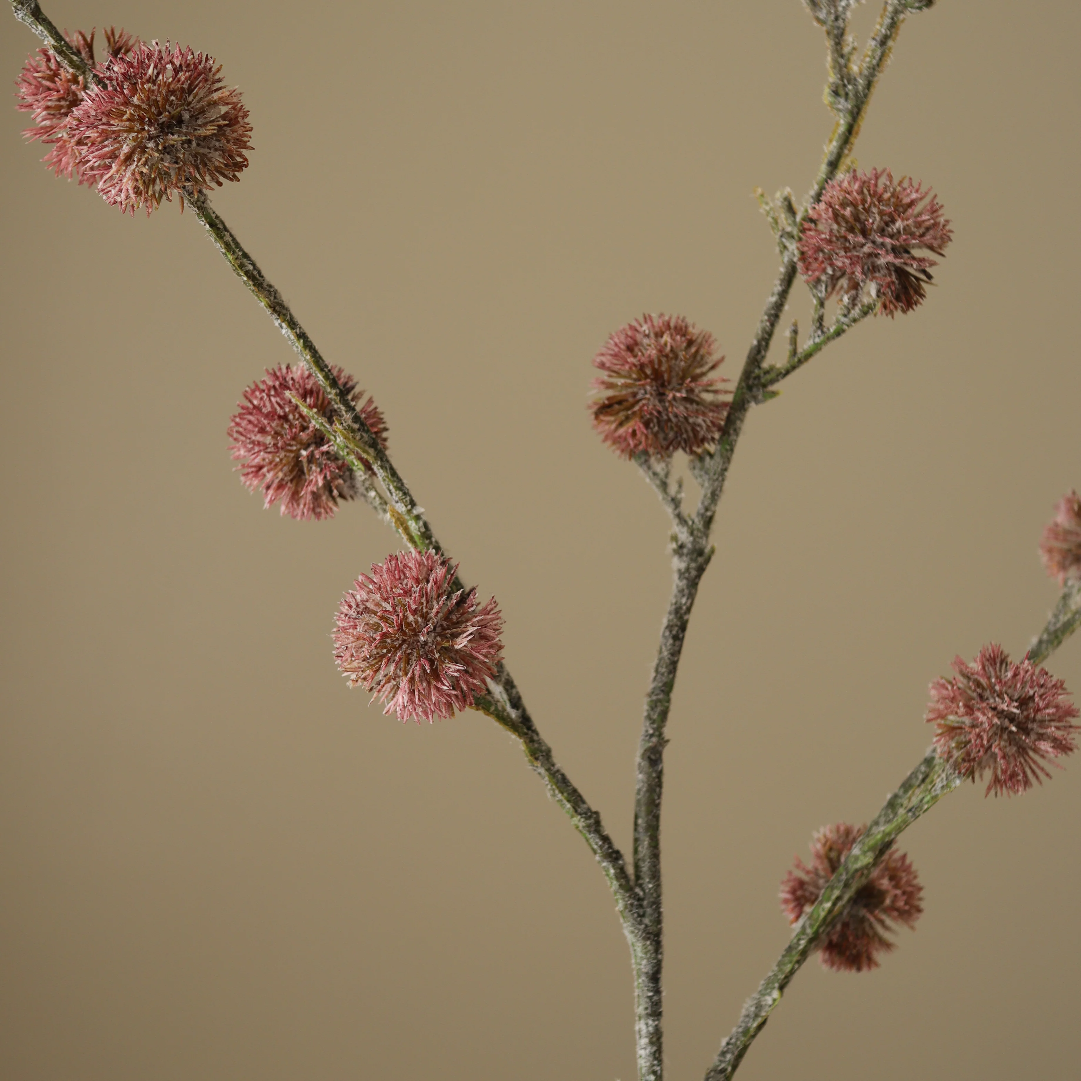 Purple Thistle Ball Branch - Image 3