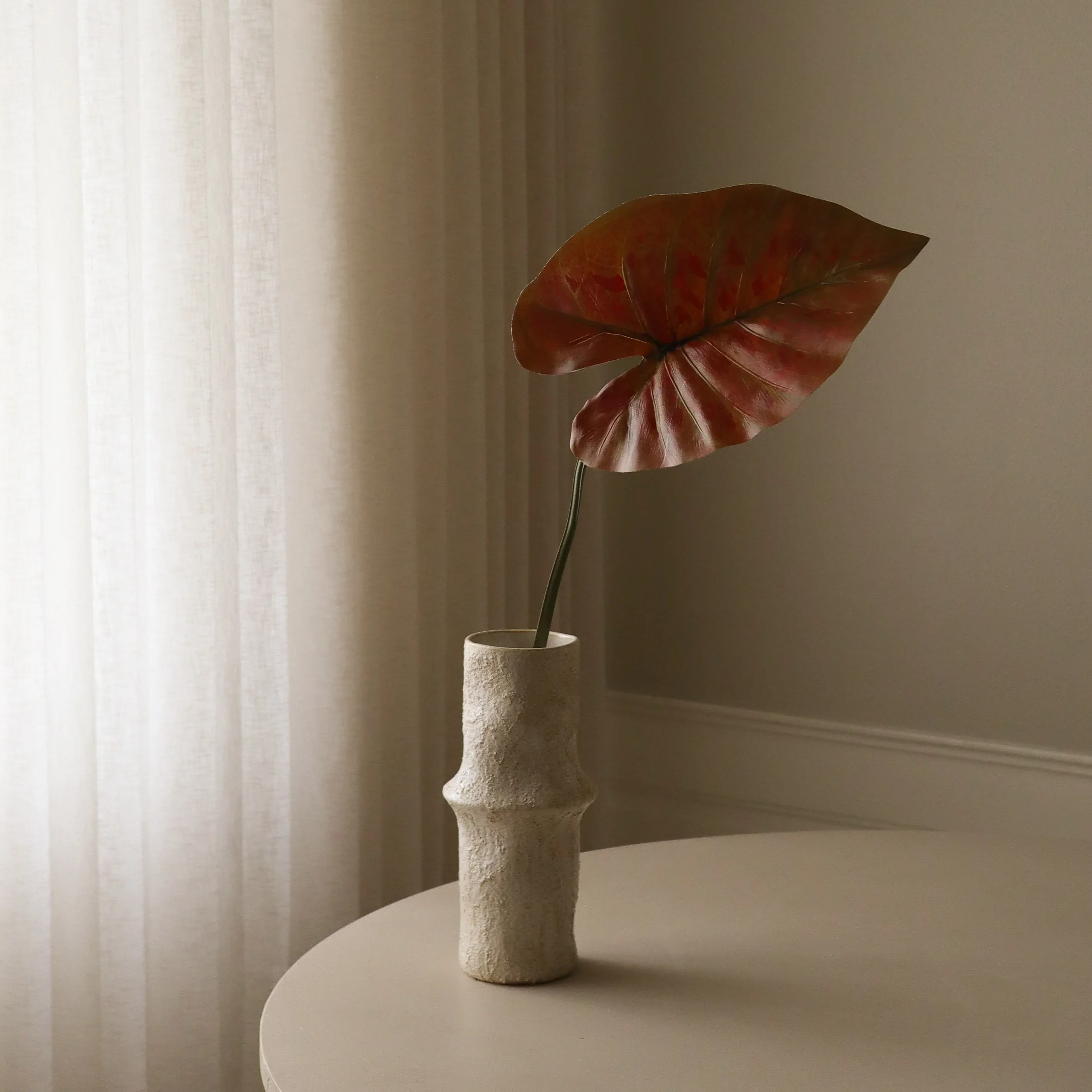 Red Alocasia Leaf