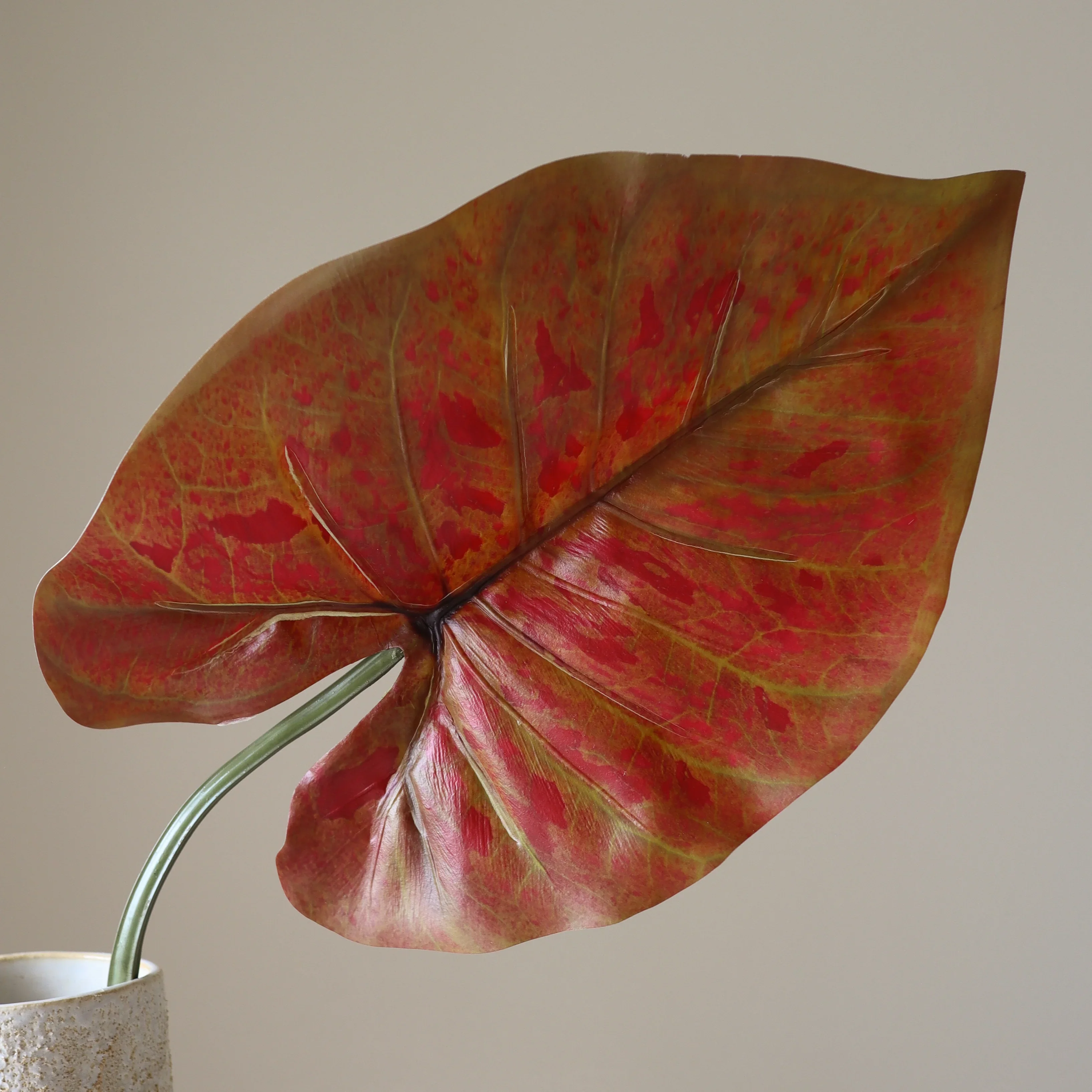 Red Alocasia Leaf - Image 2