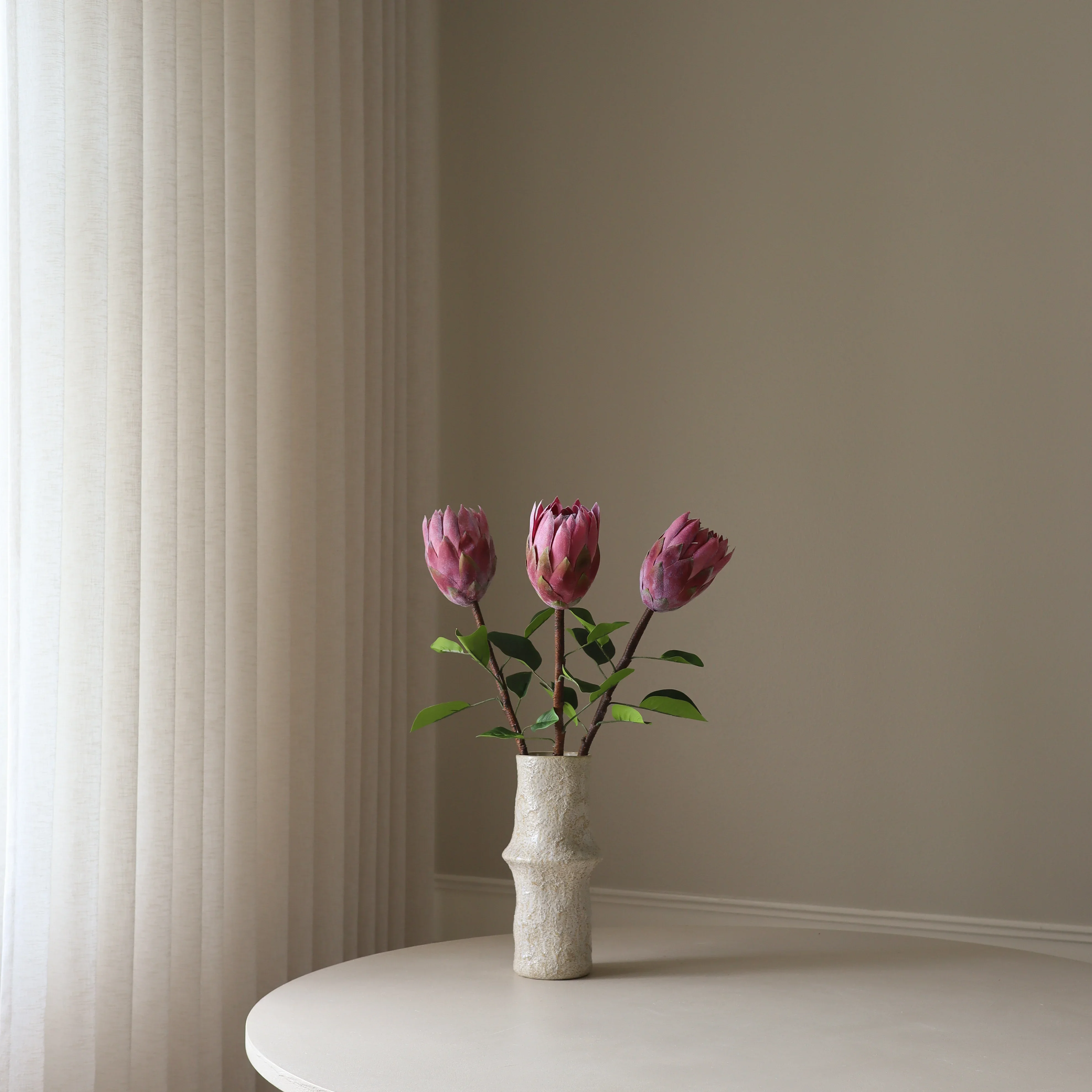 Red King Protea Flower - Image 3