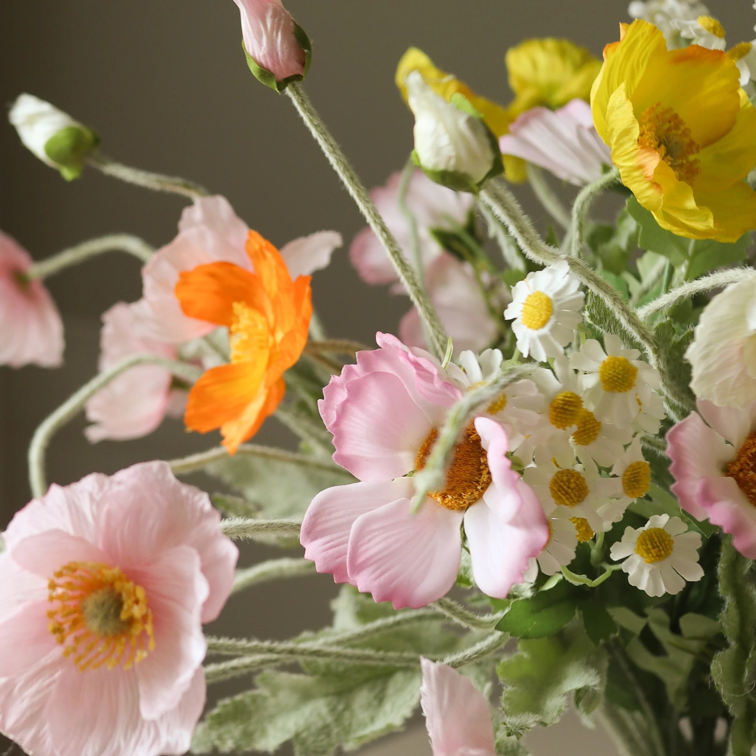 Rosewater - Image 2