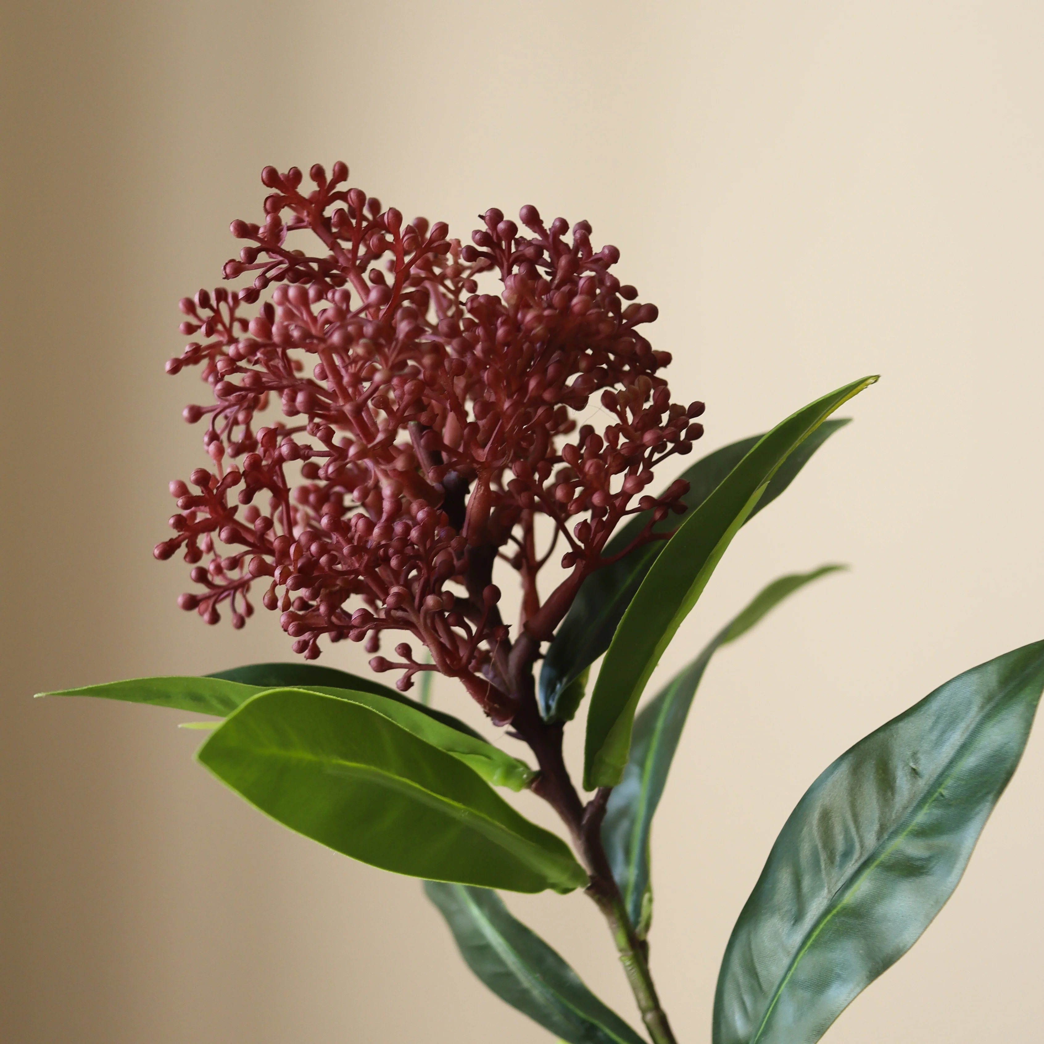 Purple Skimmia Berry Branch - Image 3