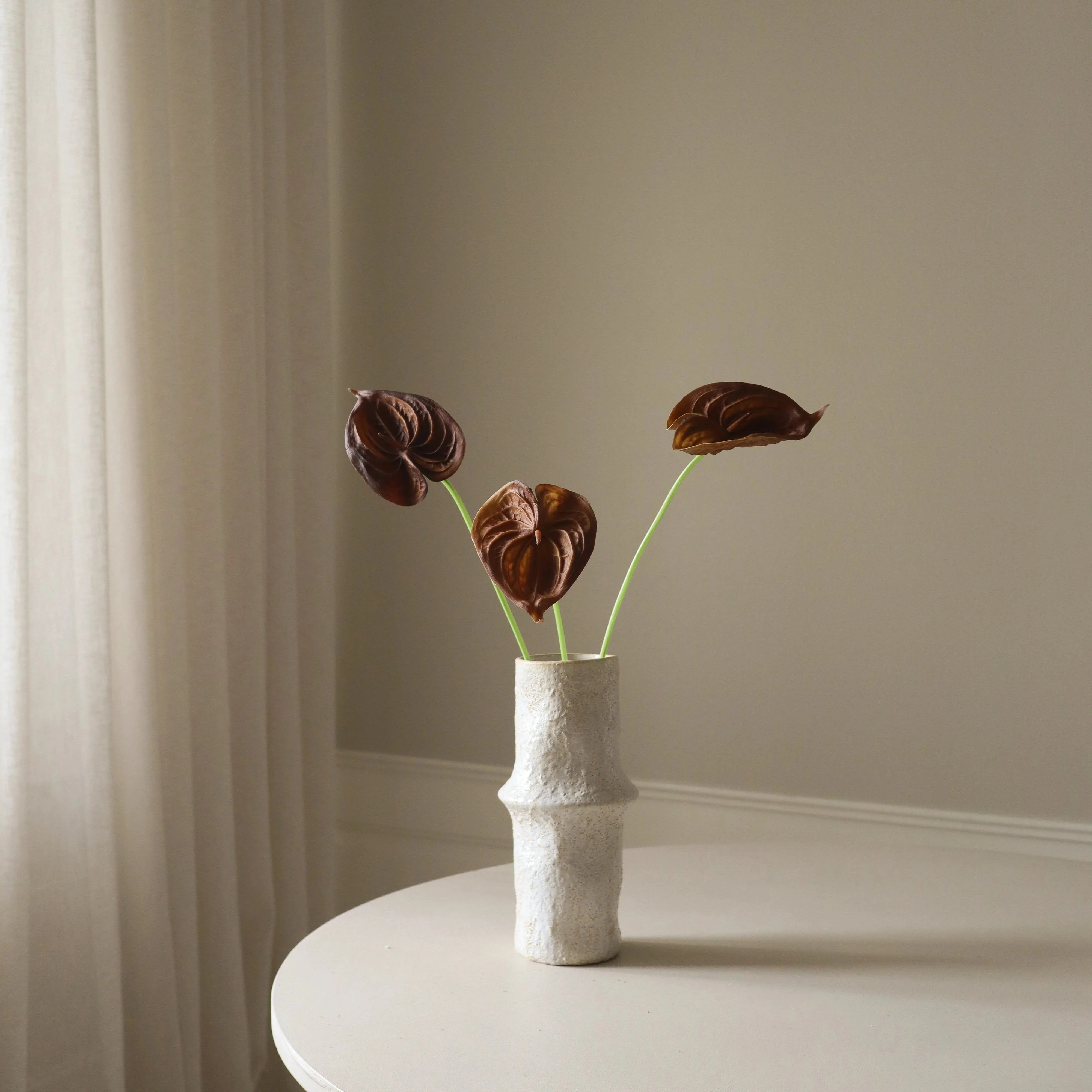 Brown Small Anthurium Flower - Image 4