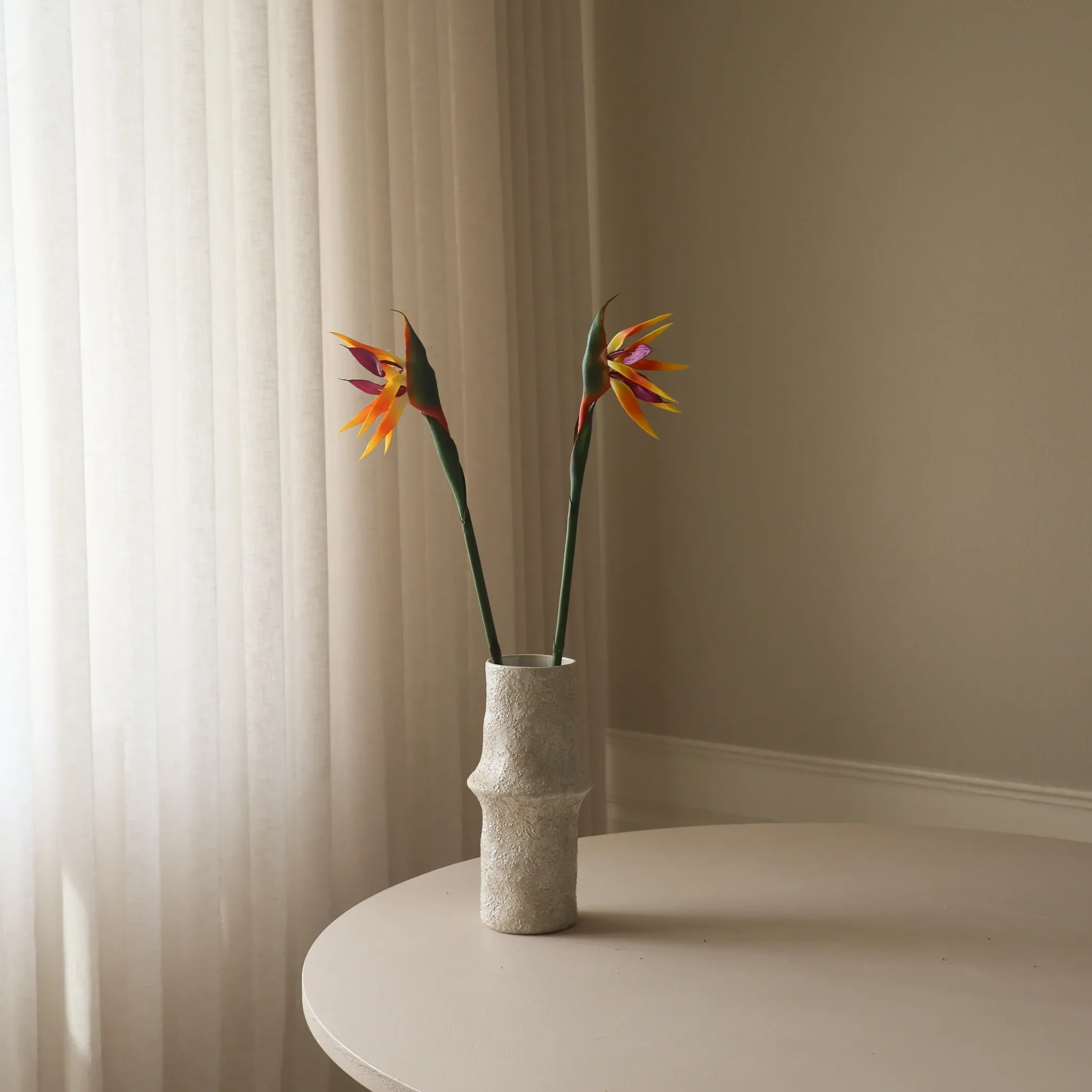 Orange Strelitzia "Bird of Paradise" Flower - Image 3