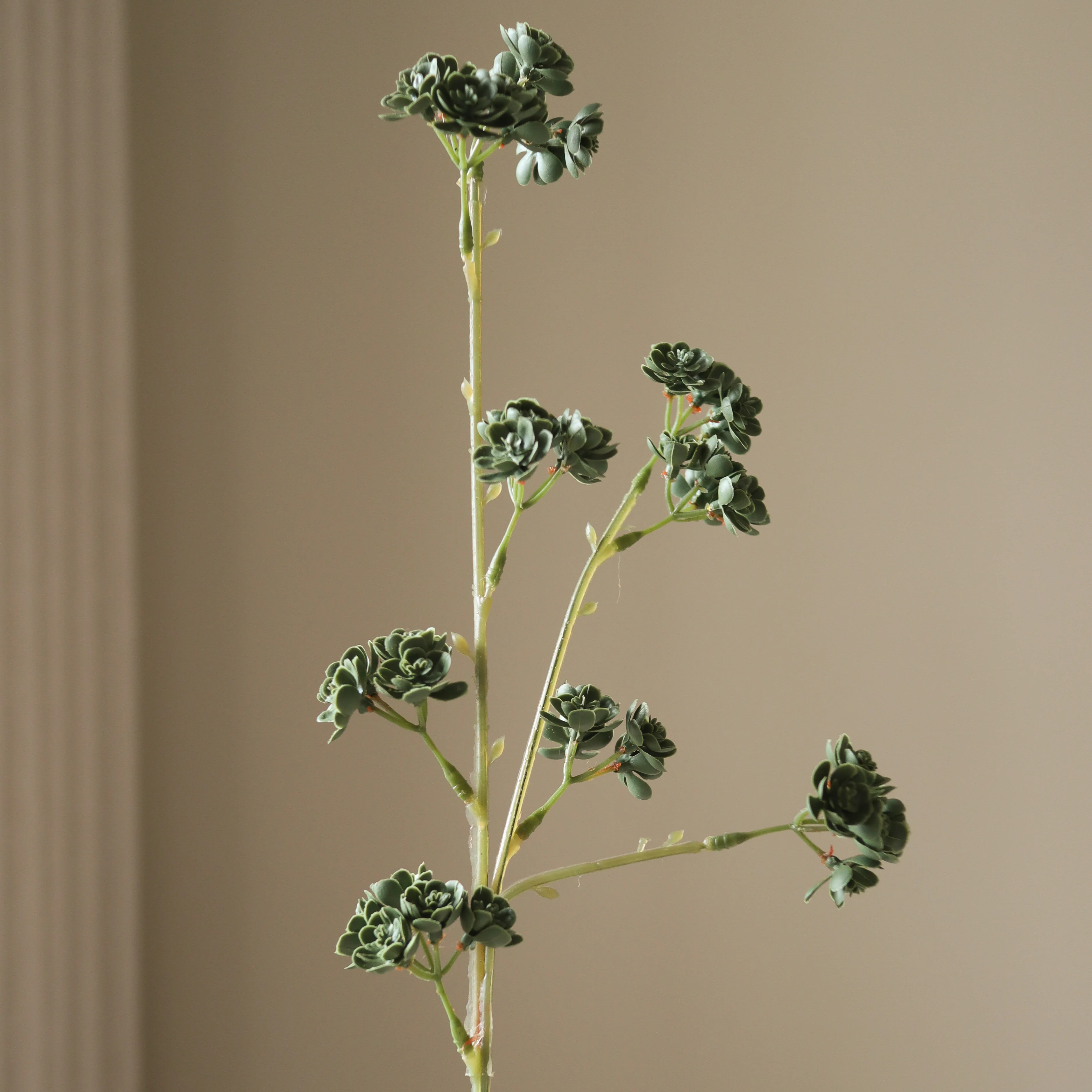 Dark Green Succulent Stem - Image 3
