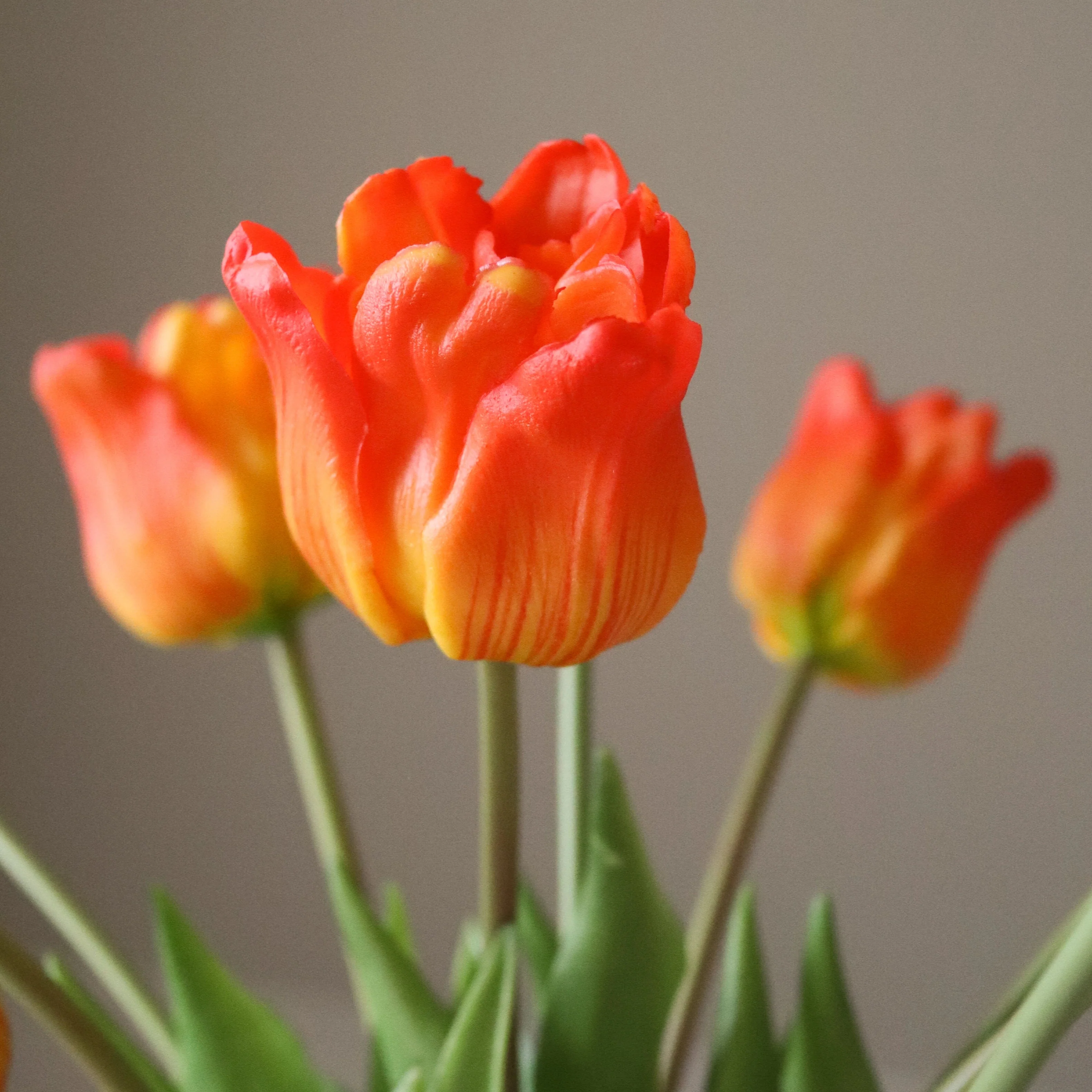 Orange Triumph Tulip Bouquet - Image 3