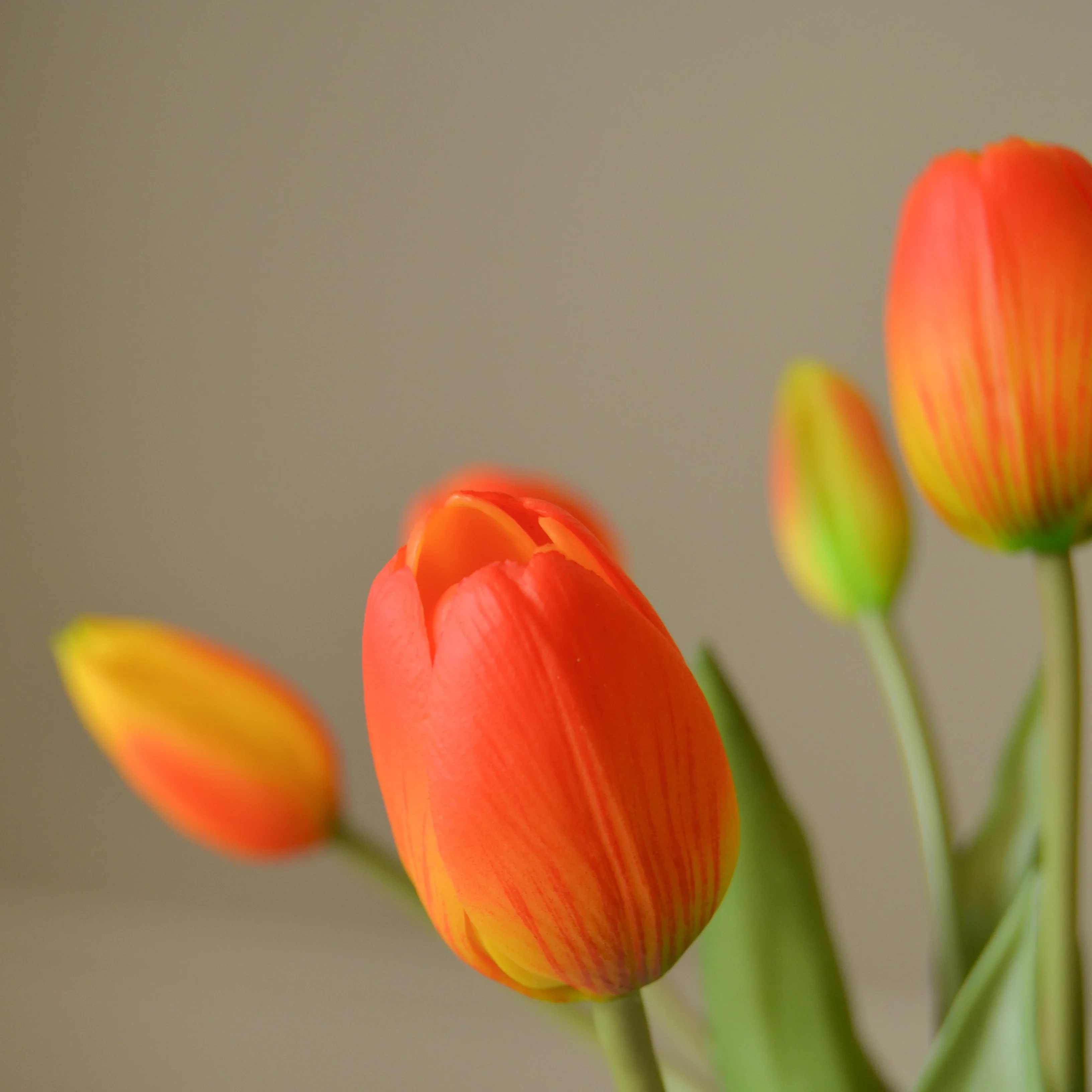 Orange Tulip Bouquet - Image 3