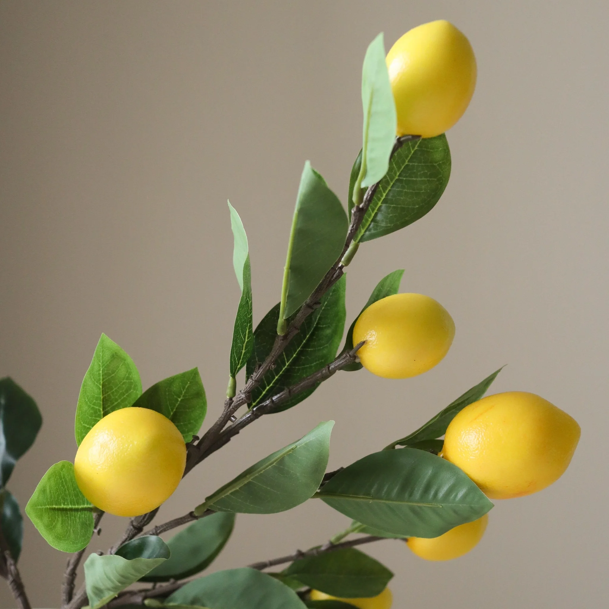 When Life Gives You Lemons - Image 3