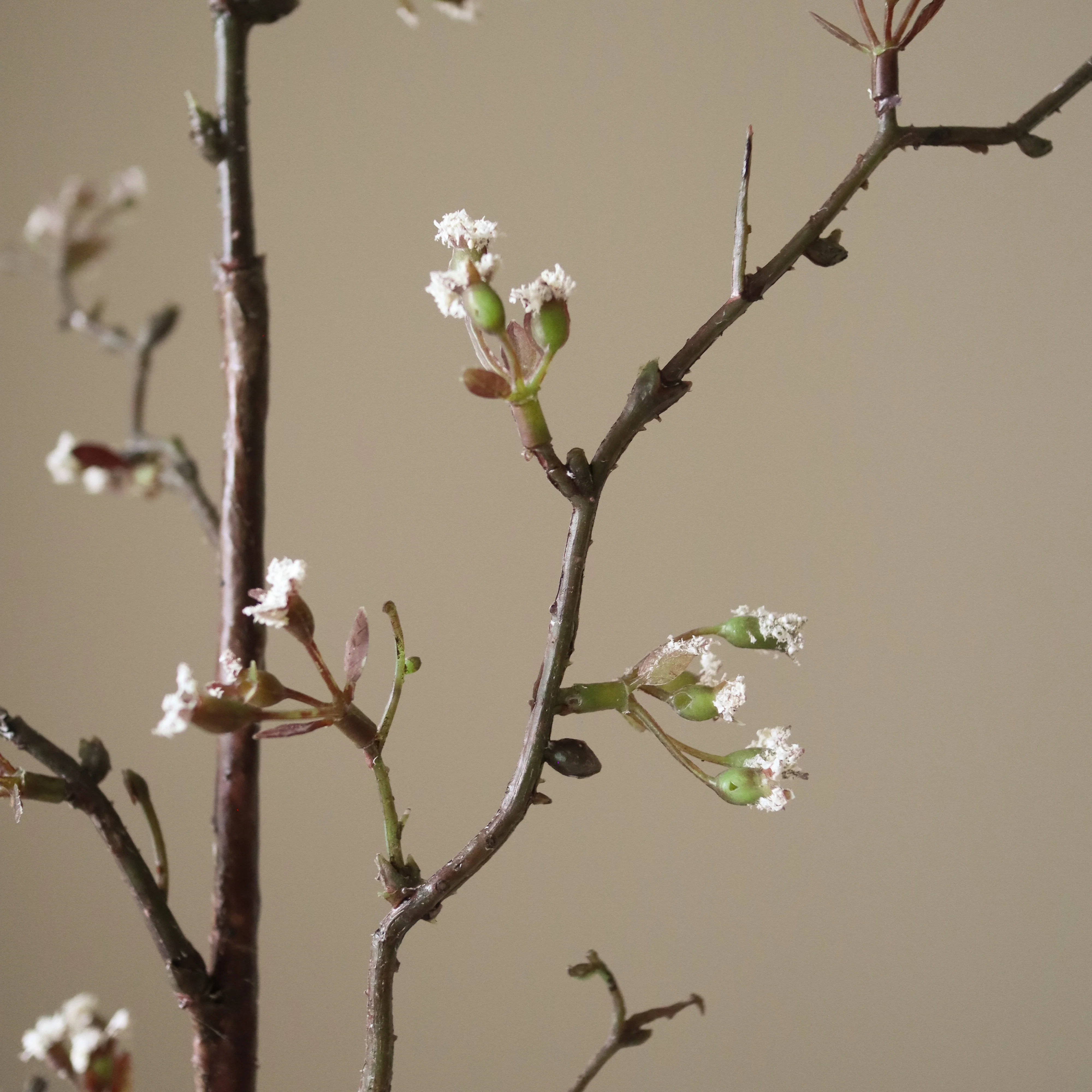 White Cherry Blossom Branch - Image 3
