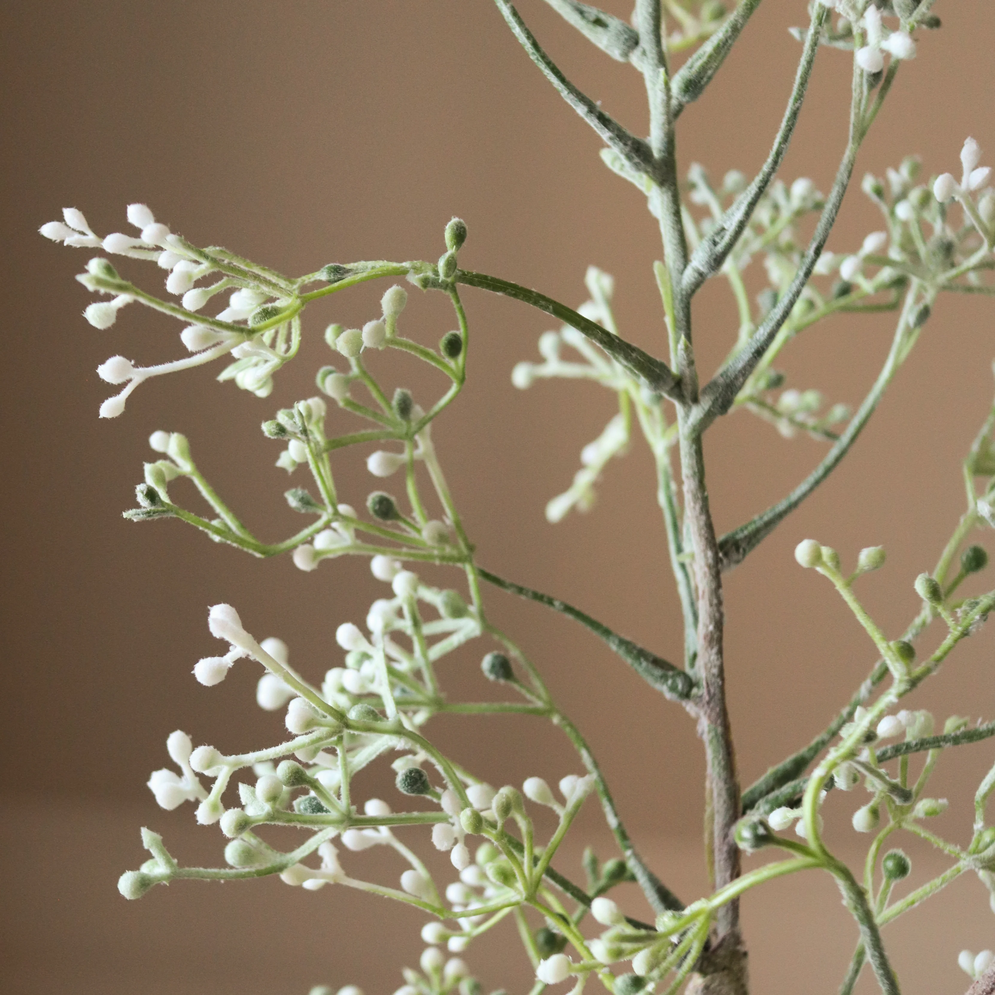 White Rosehip Corallo - Image 3