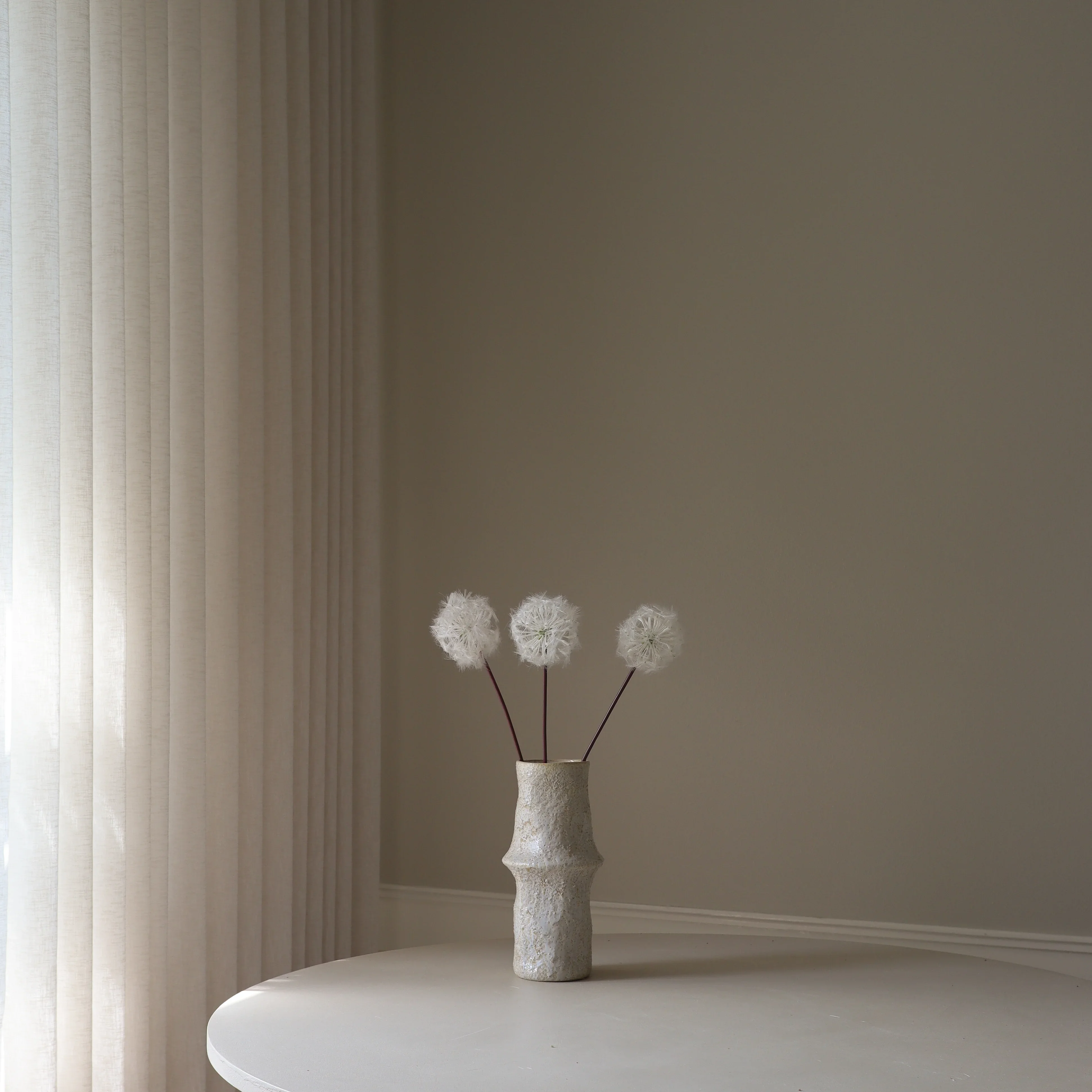 White Small Dandelion - Image 3