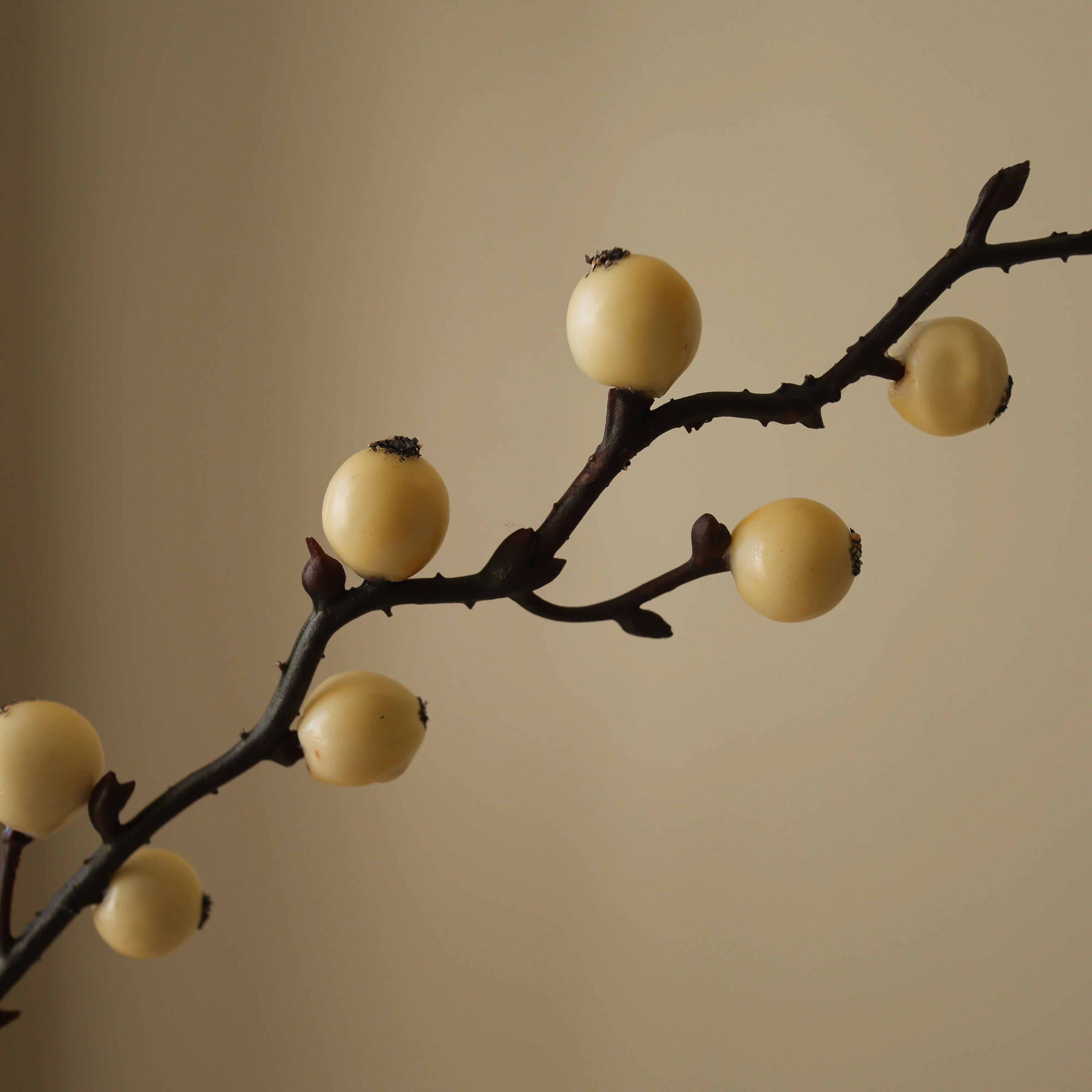 White Winterberry Branch - Image 3