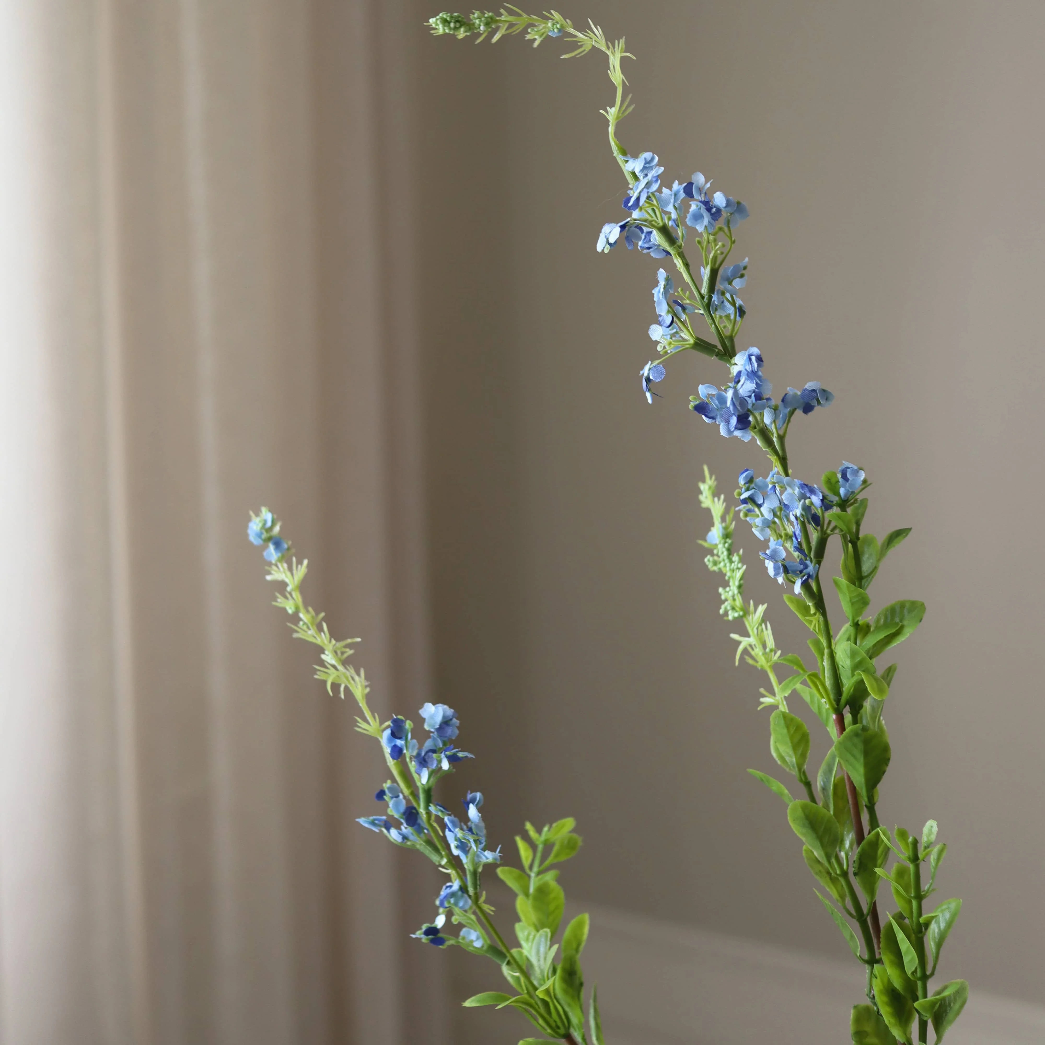 Blue Wild Flower - Image 3